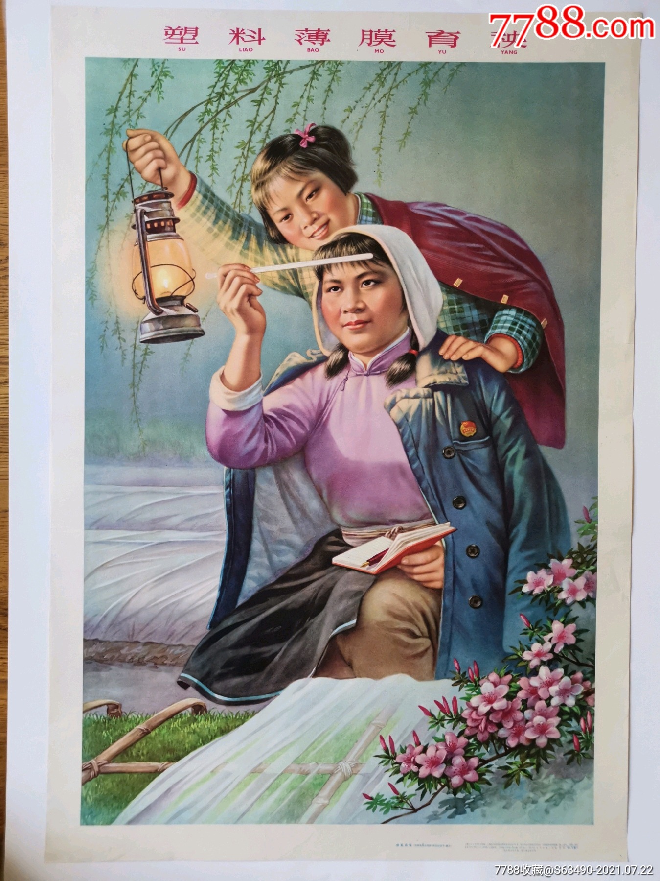 罕见老版擦笔年画●塑料薄膜育秧