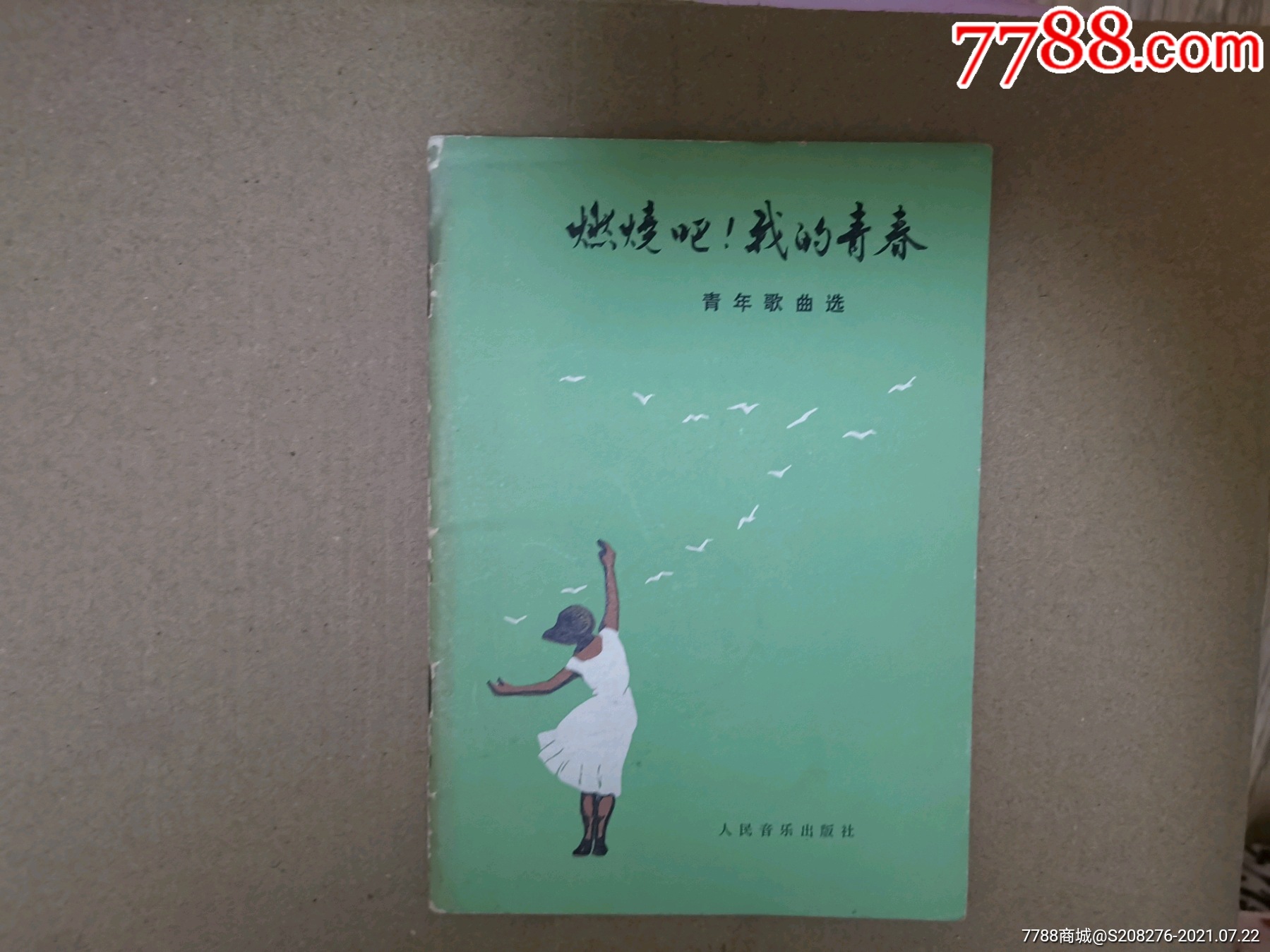 燃烧吧我的青春