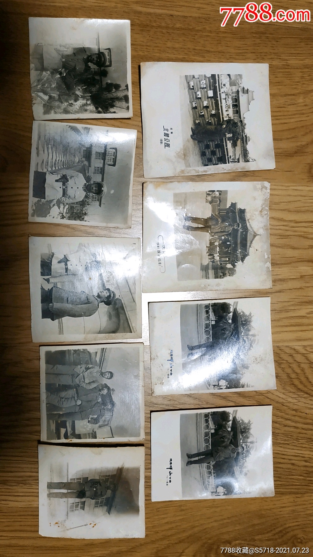 九张80年代老照片品相如图北陵公园中山公园等背景尺寸有约5558左