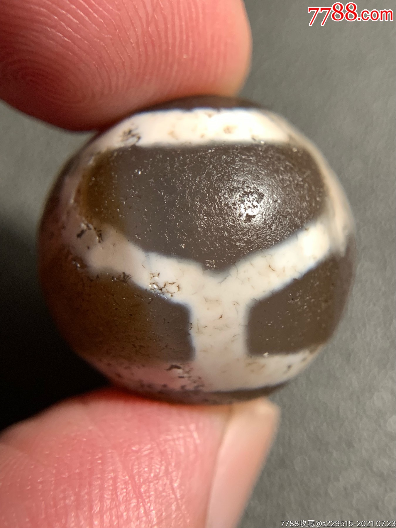 藏传龟背达洛天珠19*19.8毫米