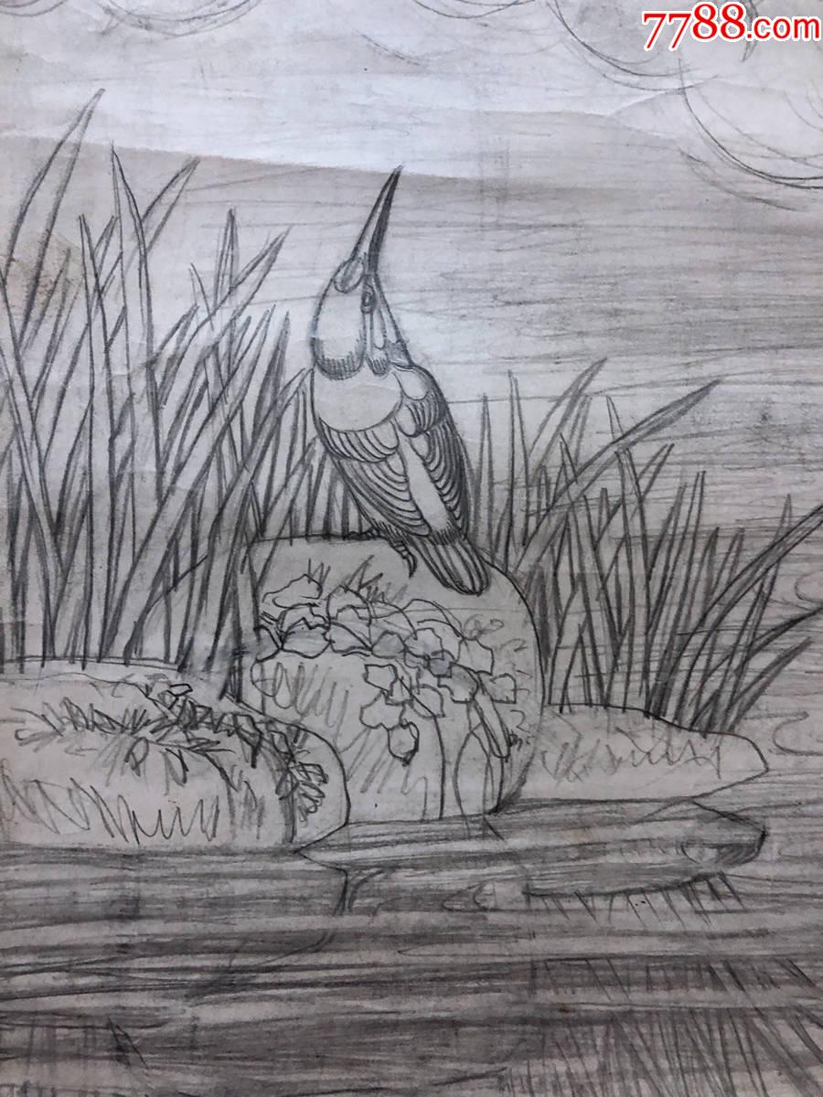 书画13619,花鸟画,铅笔白描,尺寸约为64*63厘米-花鸟国画原作-7788