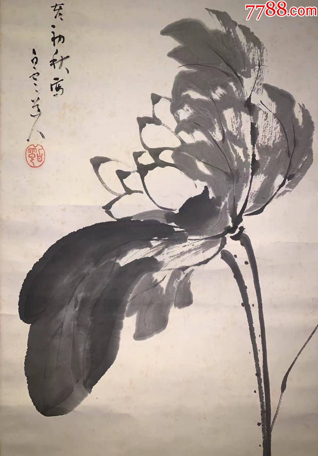 【日本回流字画】**不染墨莲图3263白云道人装饰收藏书画