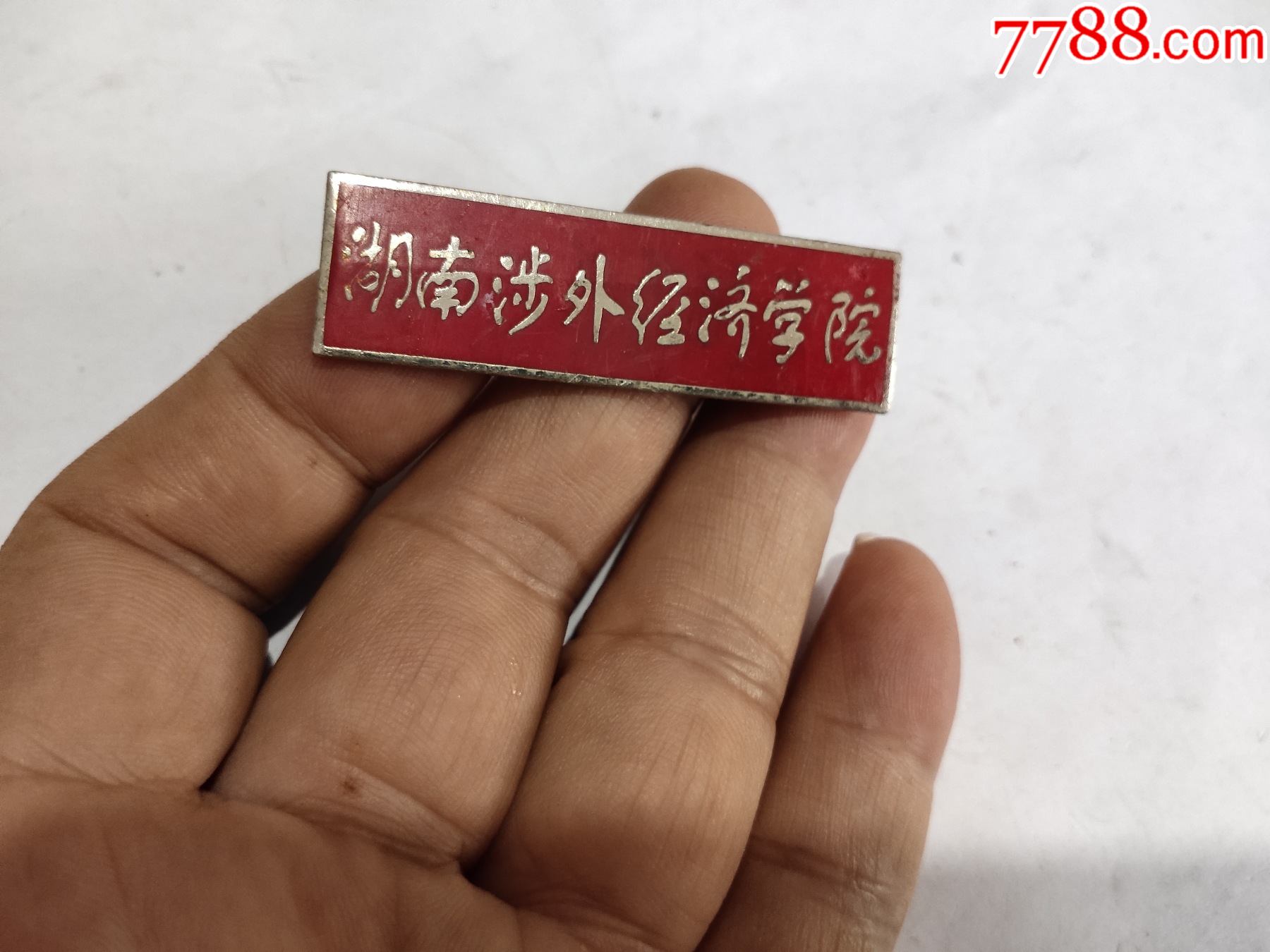 湖南涉外经济学院校徽