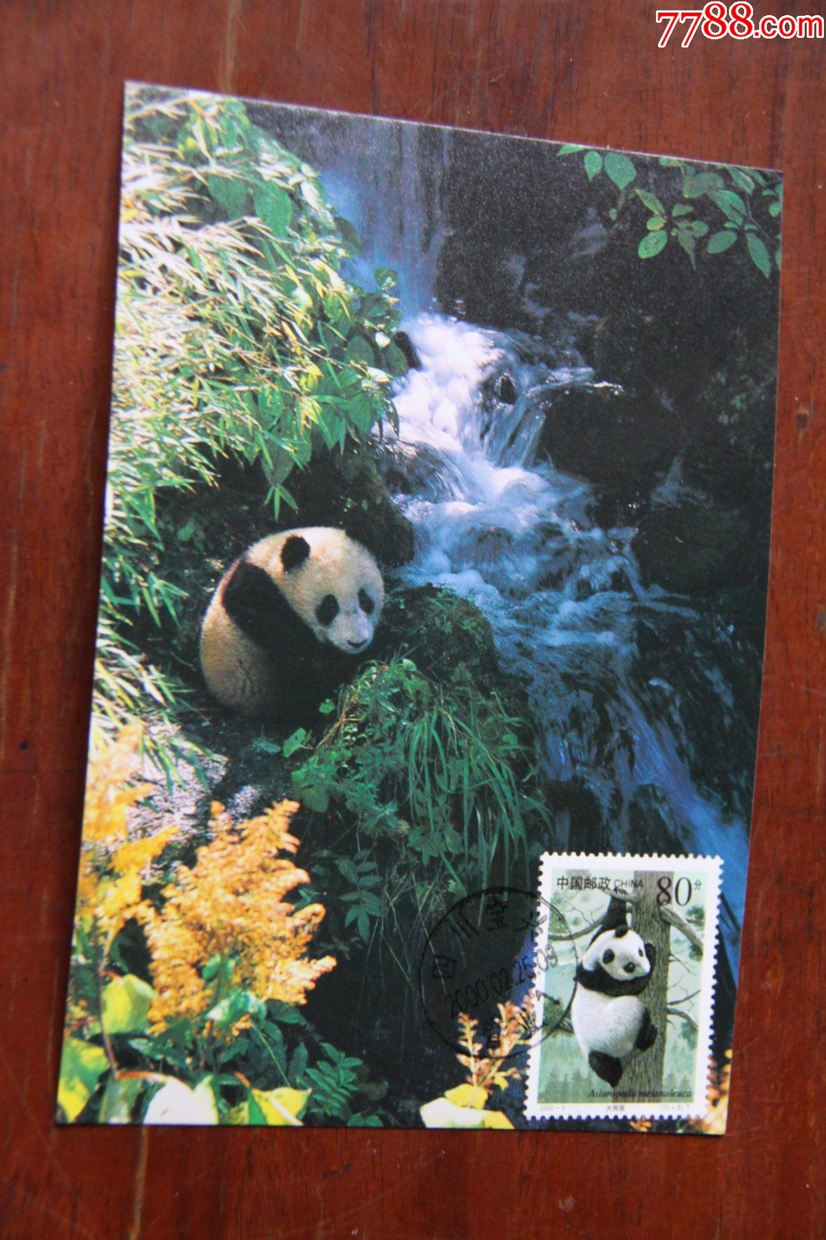 熊猫极限明信片