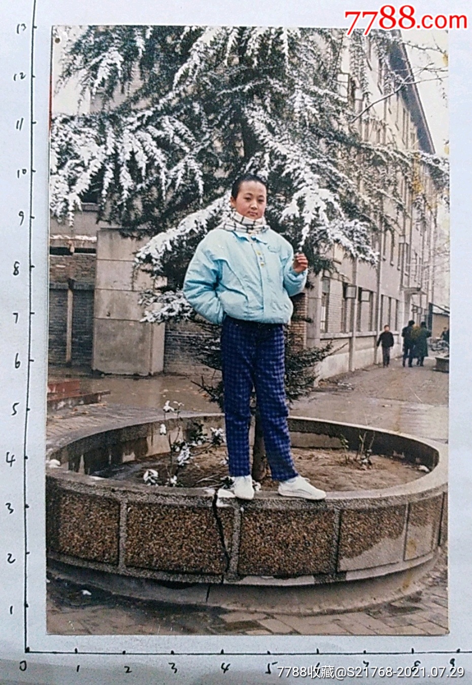 小美女花坛雪松前立照-价格:5元-se81710890-老照片-零售-7788收藏