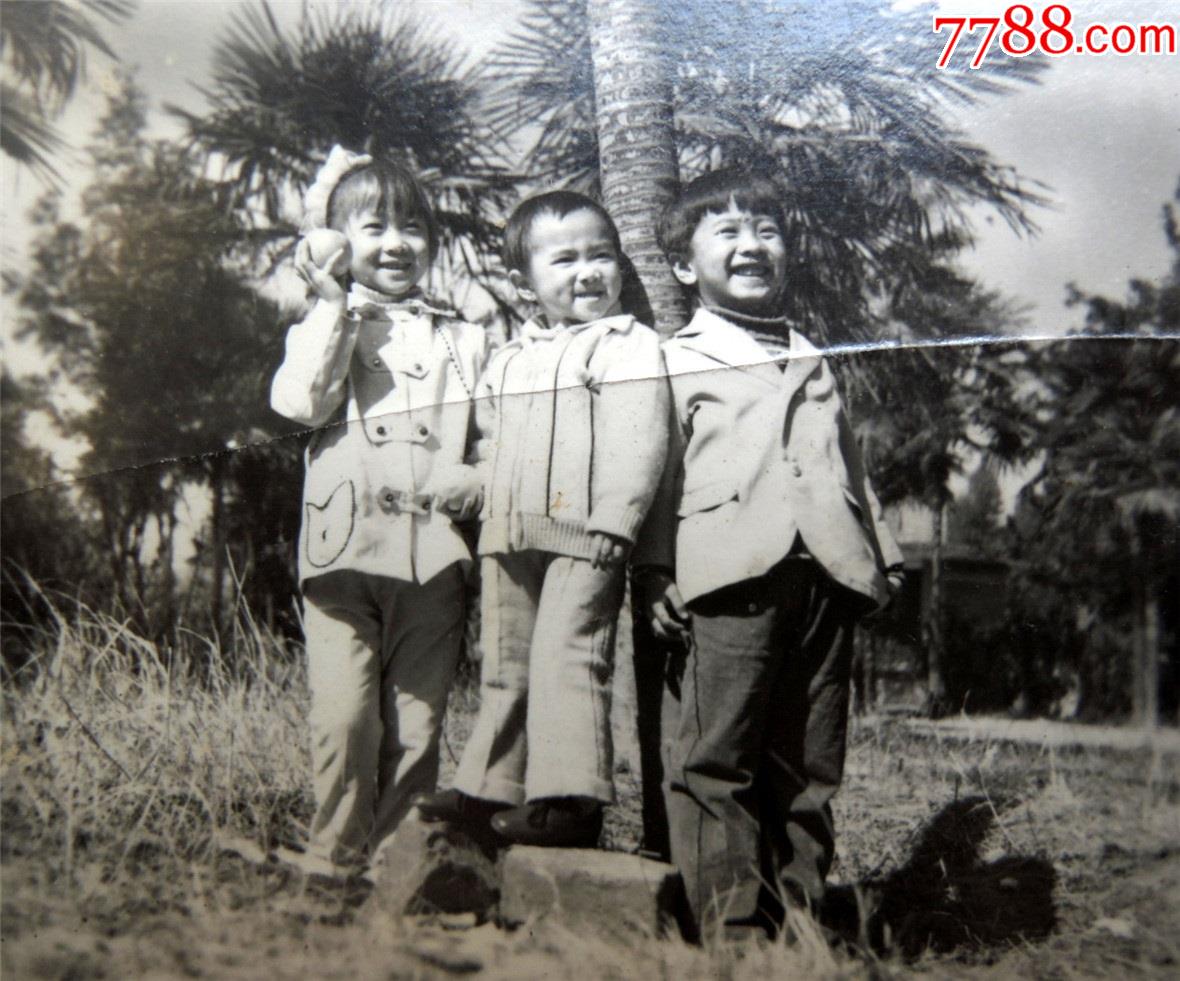 老照片收藏210624-70年代棕榈树下的盛装三发小