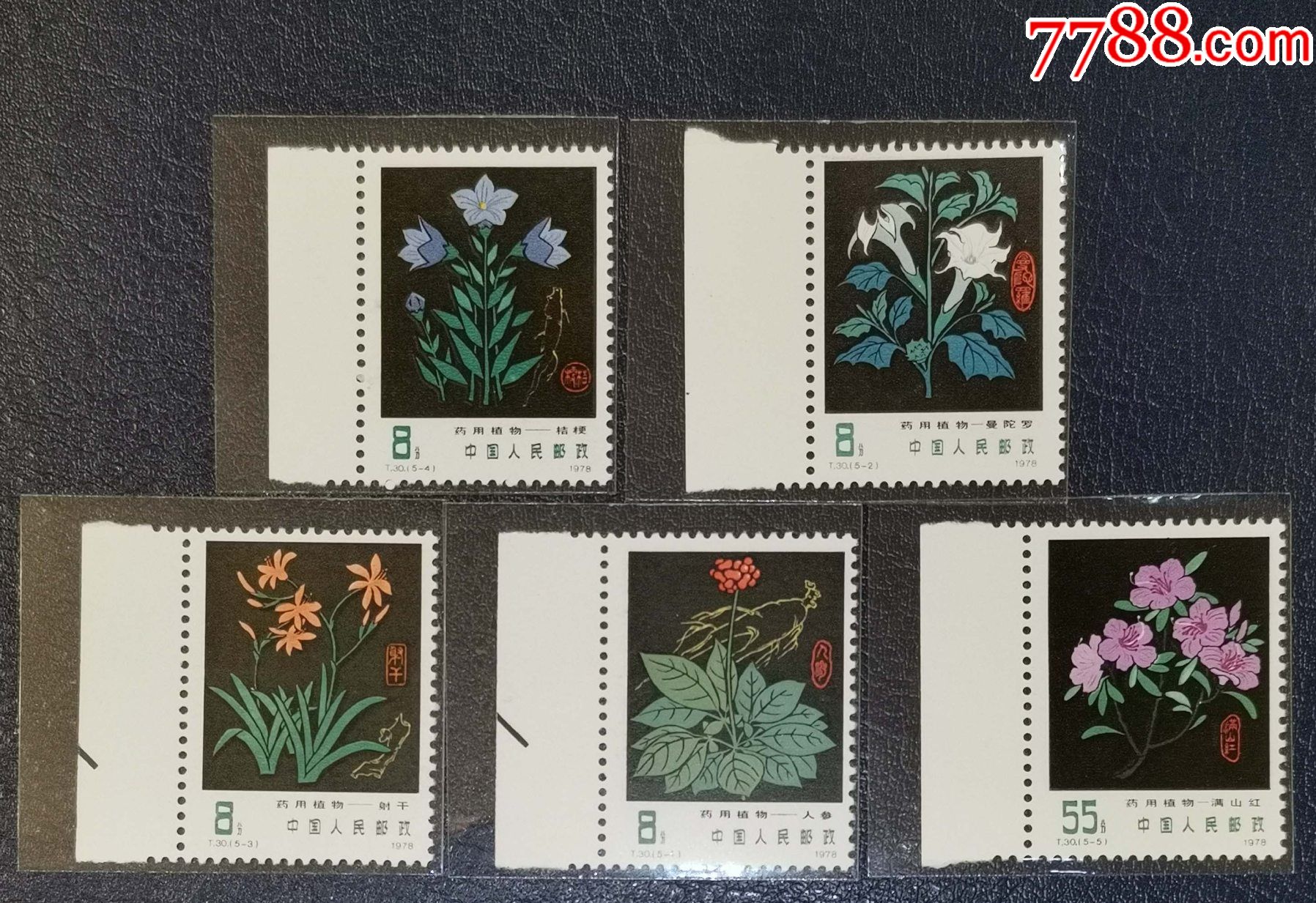 t30药用植物,带边-新中国邮票-7788商城__七七八八商品交易平台(7788.
