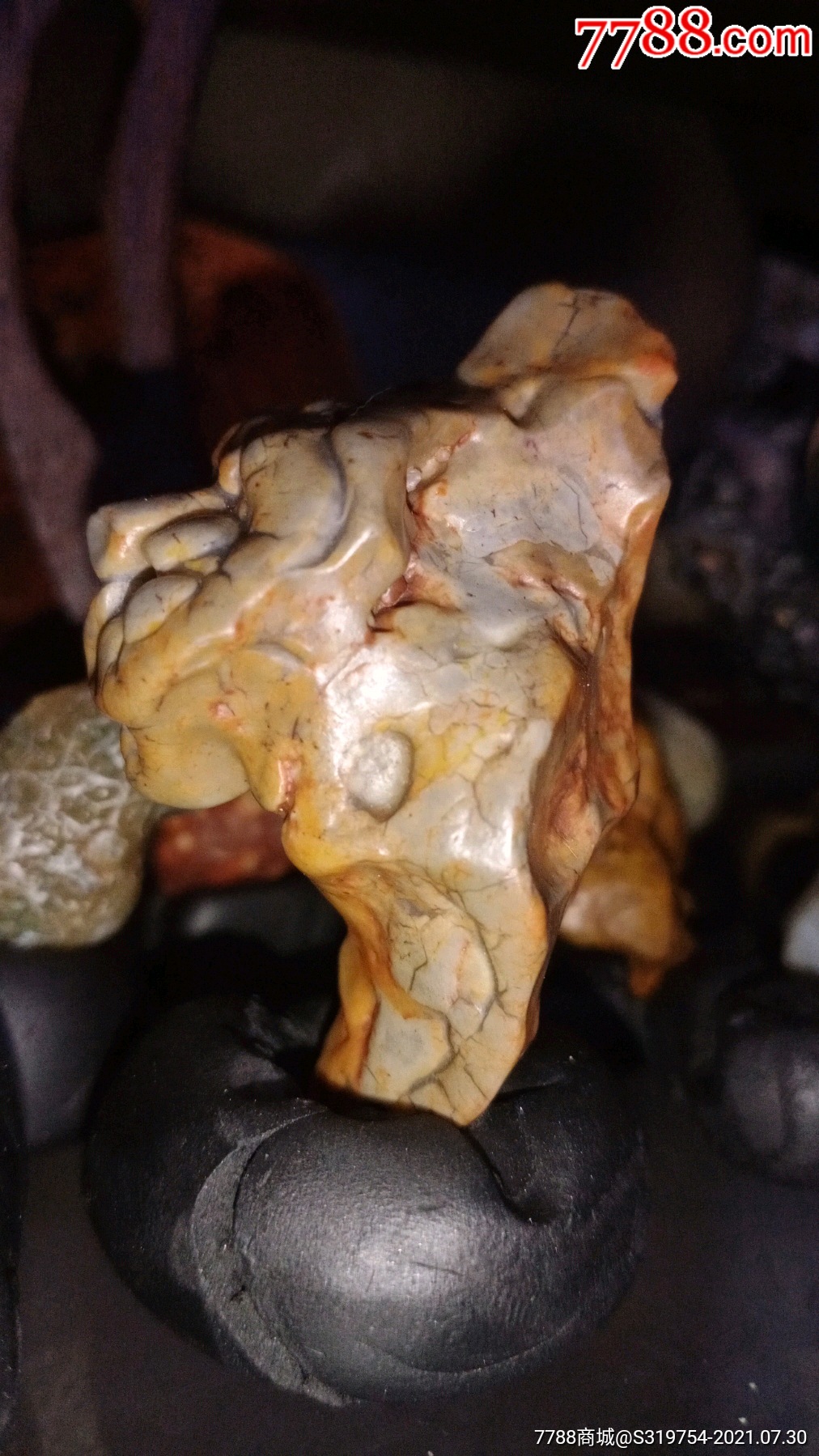 奇石观赏石天然内蒙阿拉善戈壁石马牙石动物象形狮子头手把玩石