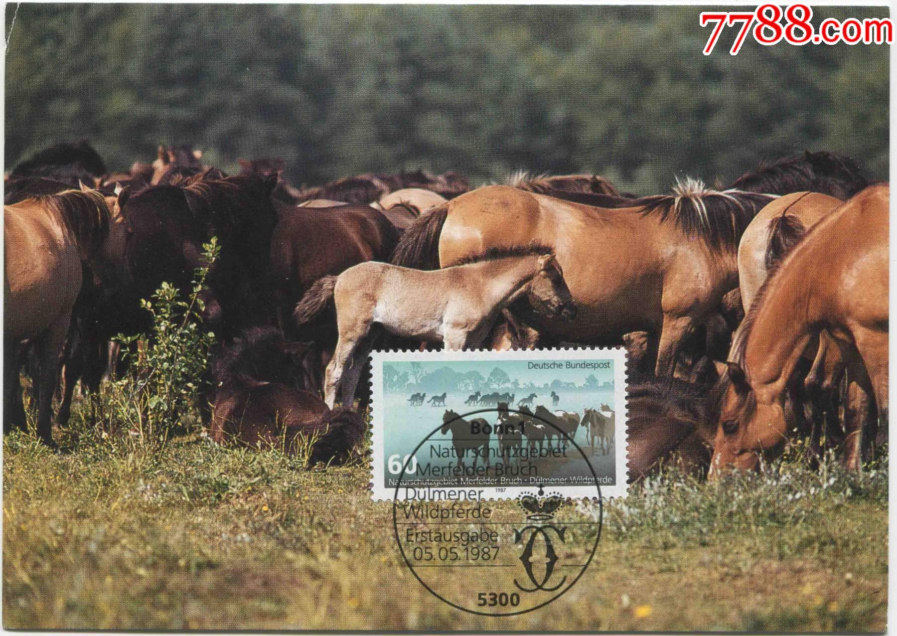 德国邮票西德1987年自然和环境保护梅菲尔德沼泽地保护区野马1全极限