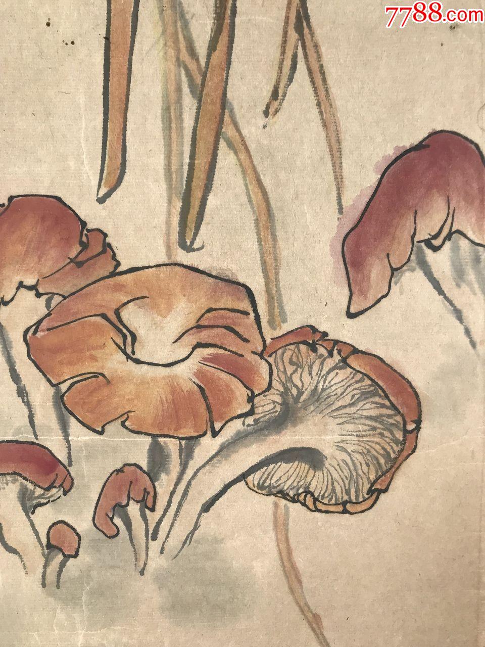 金晶《龟背竹》镜芯_花鸟国画原作_第6张_7788铜器收藏