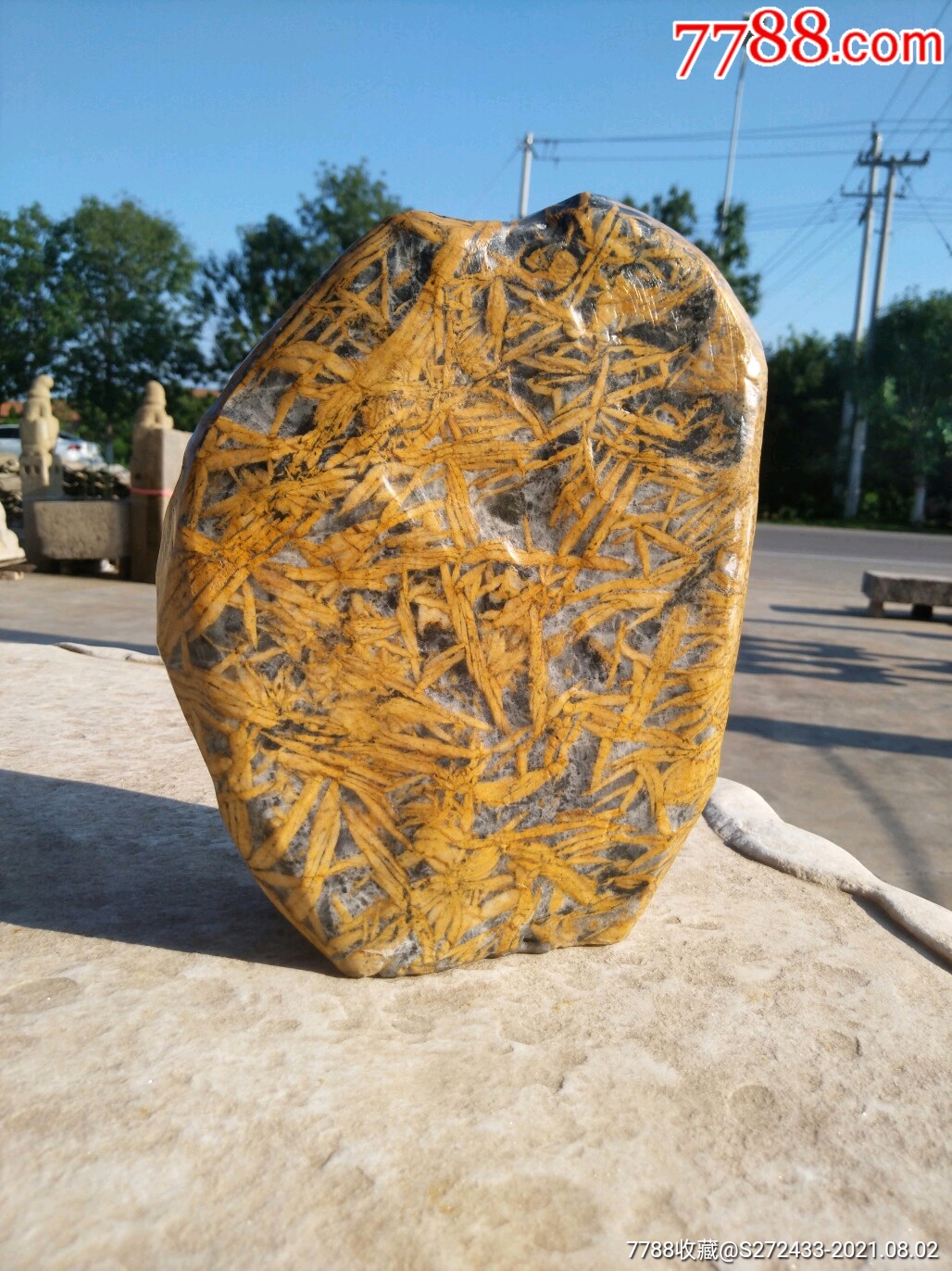 食无肉不香居无石不雅天然奇石竹叶石纹理精美瑰丽雅室陈设佳品