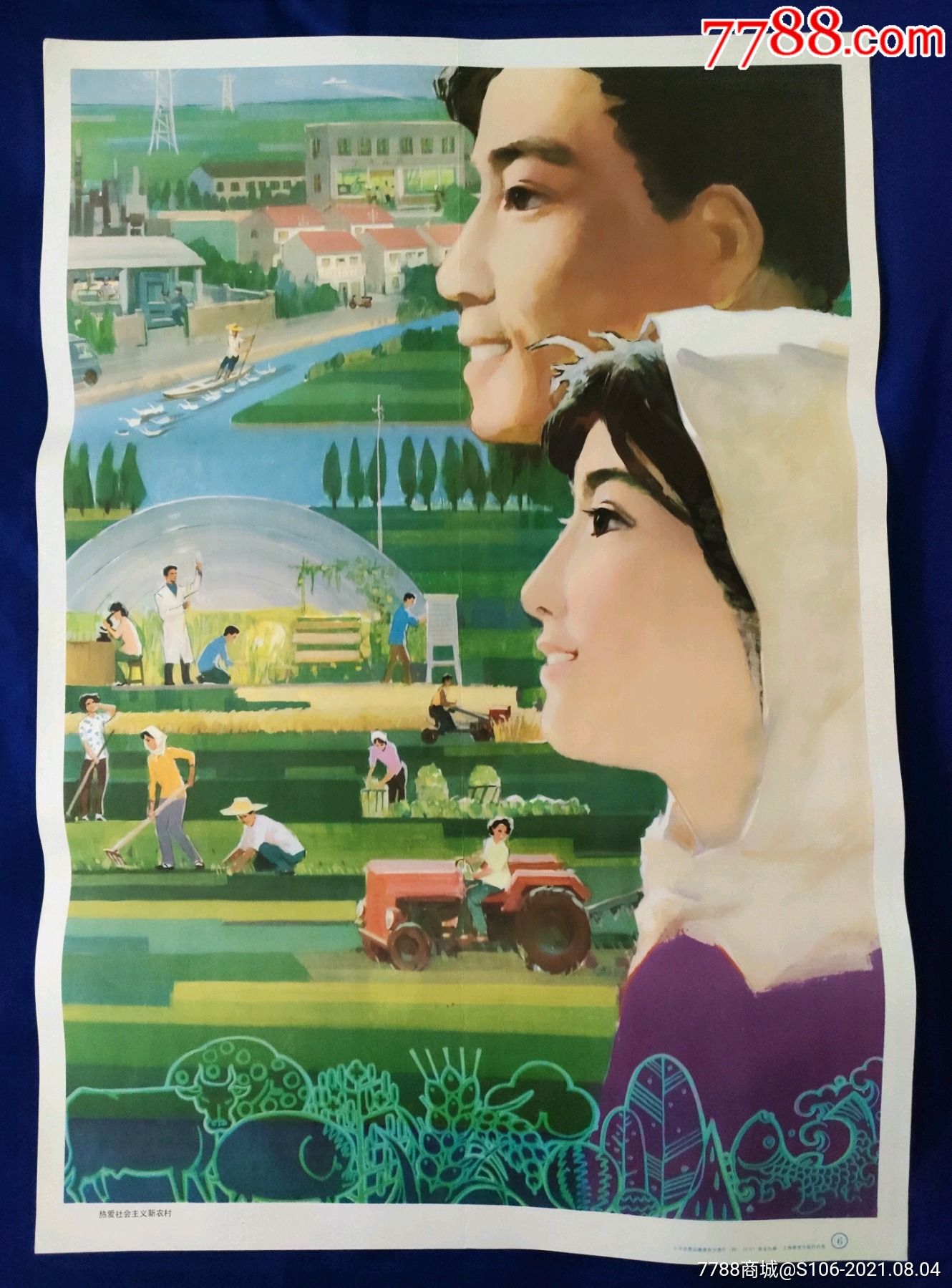 热爱社会主义新农村(改革开放少见画)