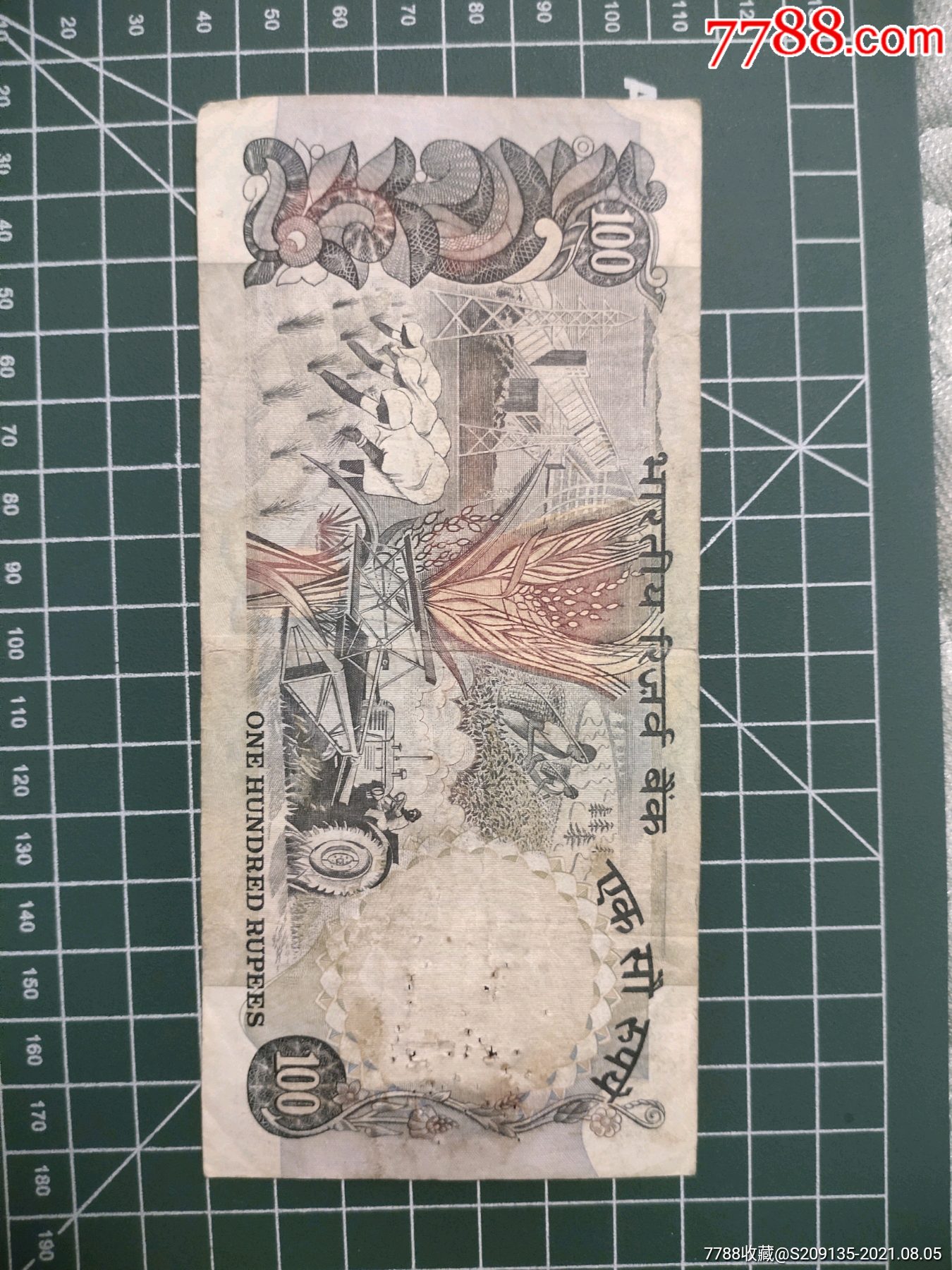 印度100元的纸币图片