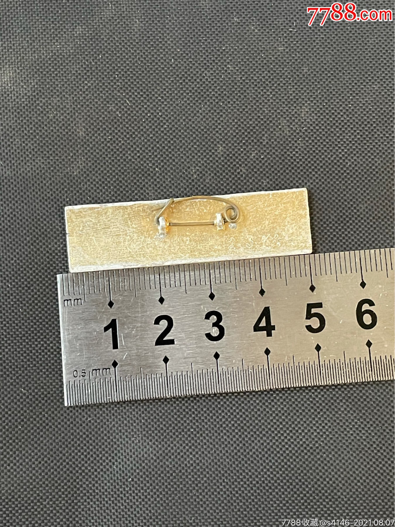 上海市梅陇中学学校老校徽