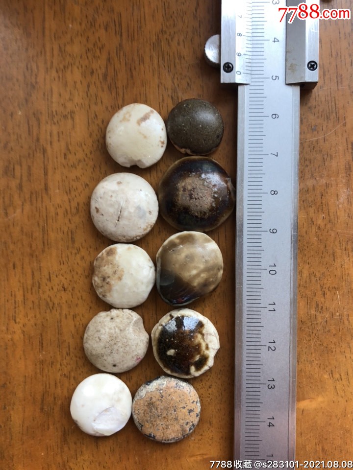 宋代定窑围棋子(6)