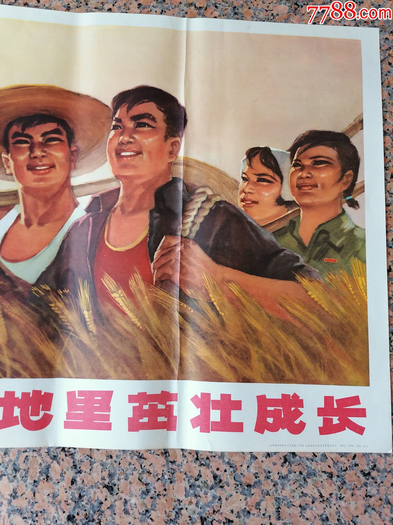 规格2_年画/宣传画_第3张_7788陶器收藏