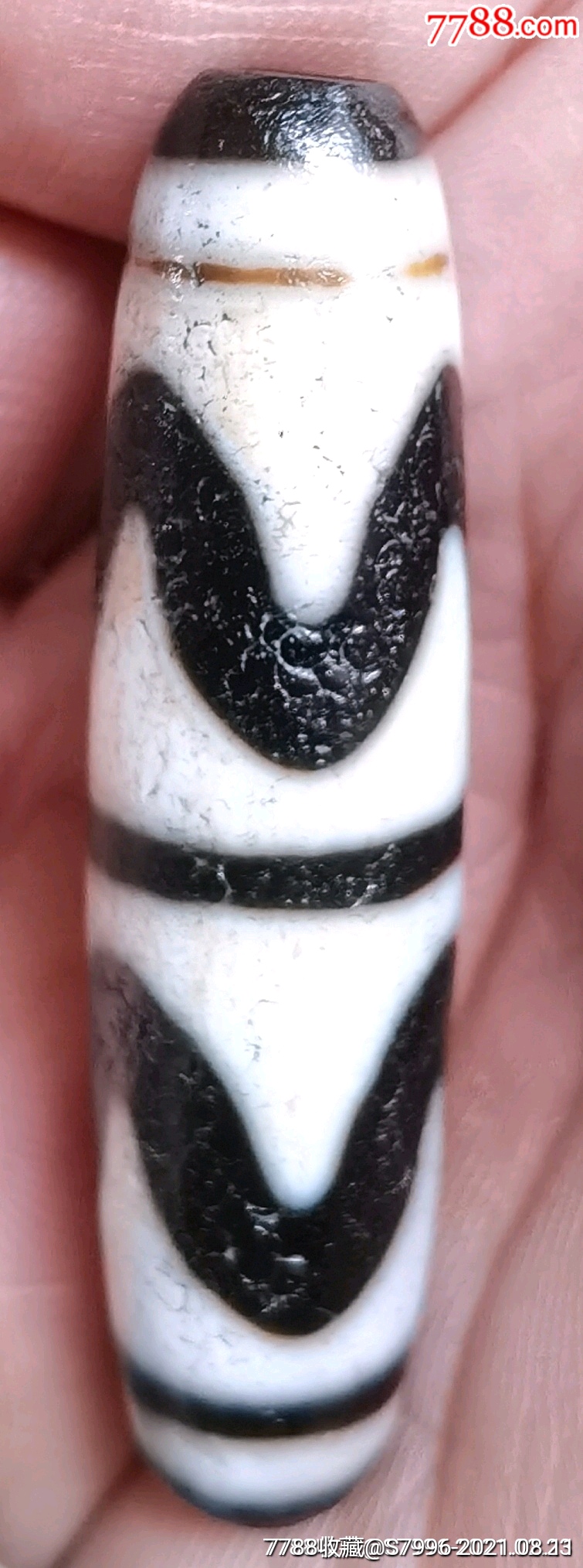 正宗老虎牙天珠