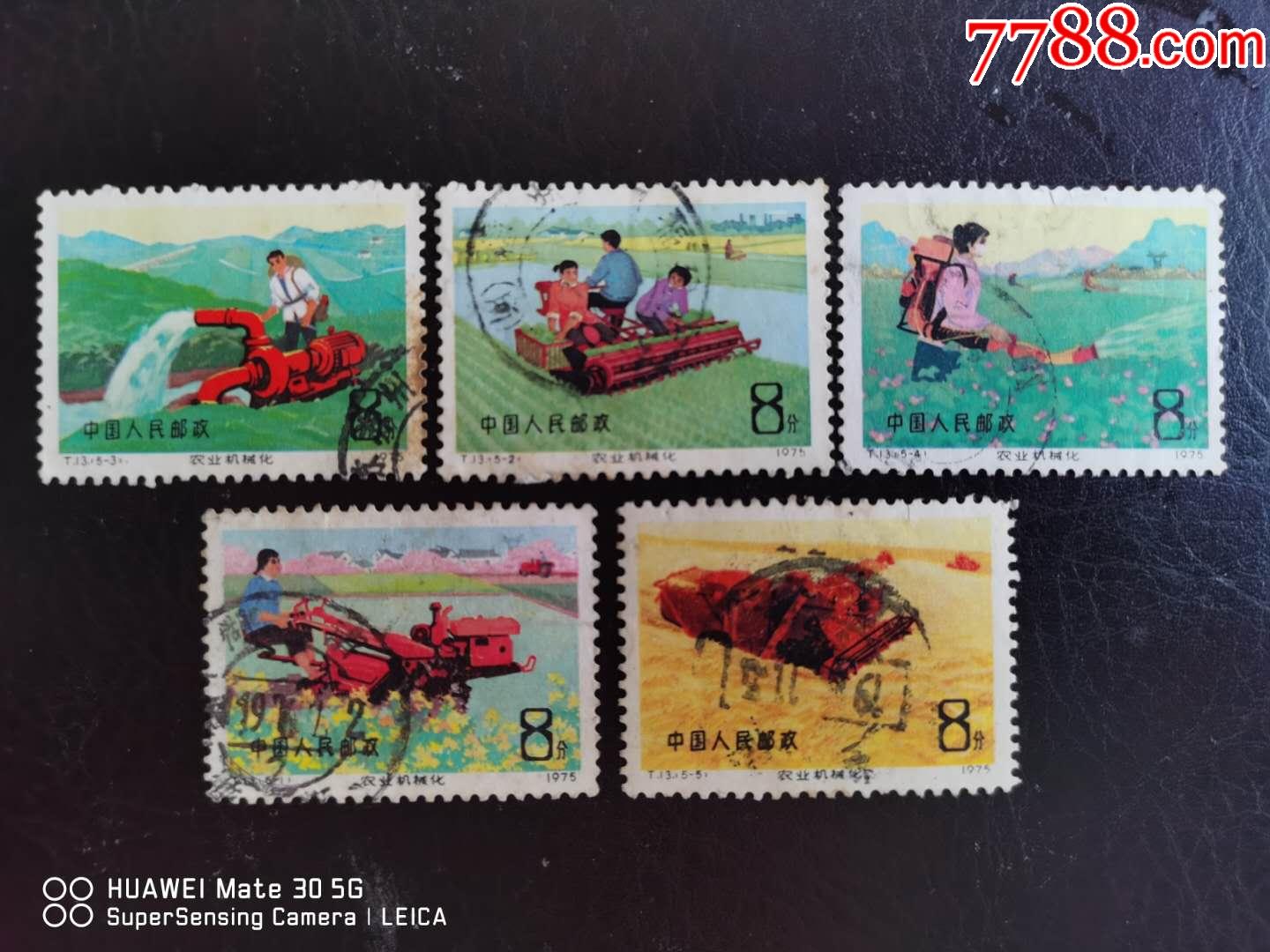 t13信销套票_新中国邮票_东洲邮苑【7788收藏__收藏热线】