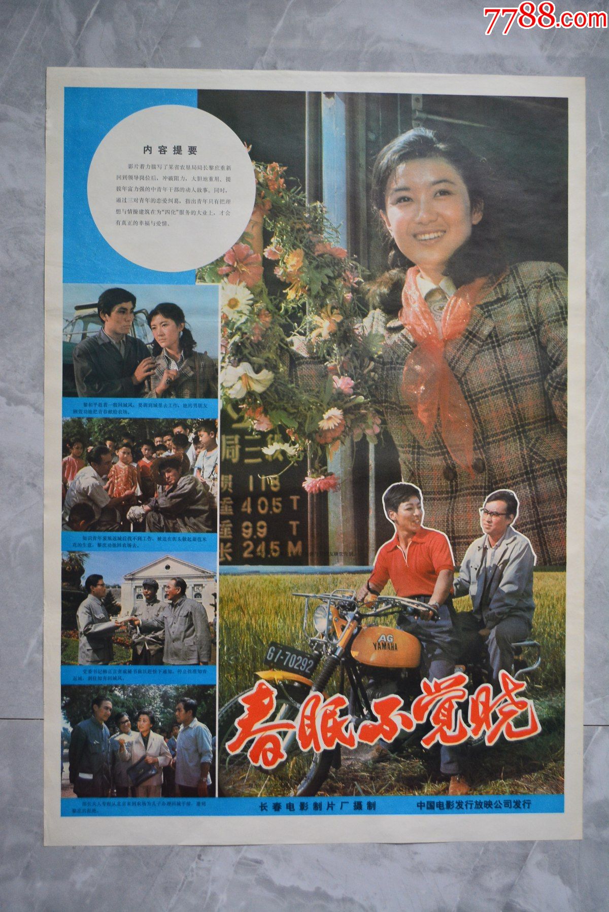 春眠不觉晓电影海报76535厘米