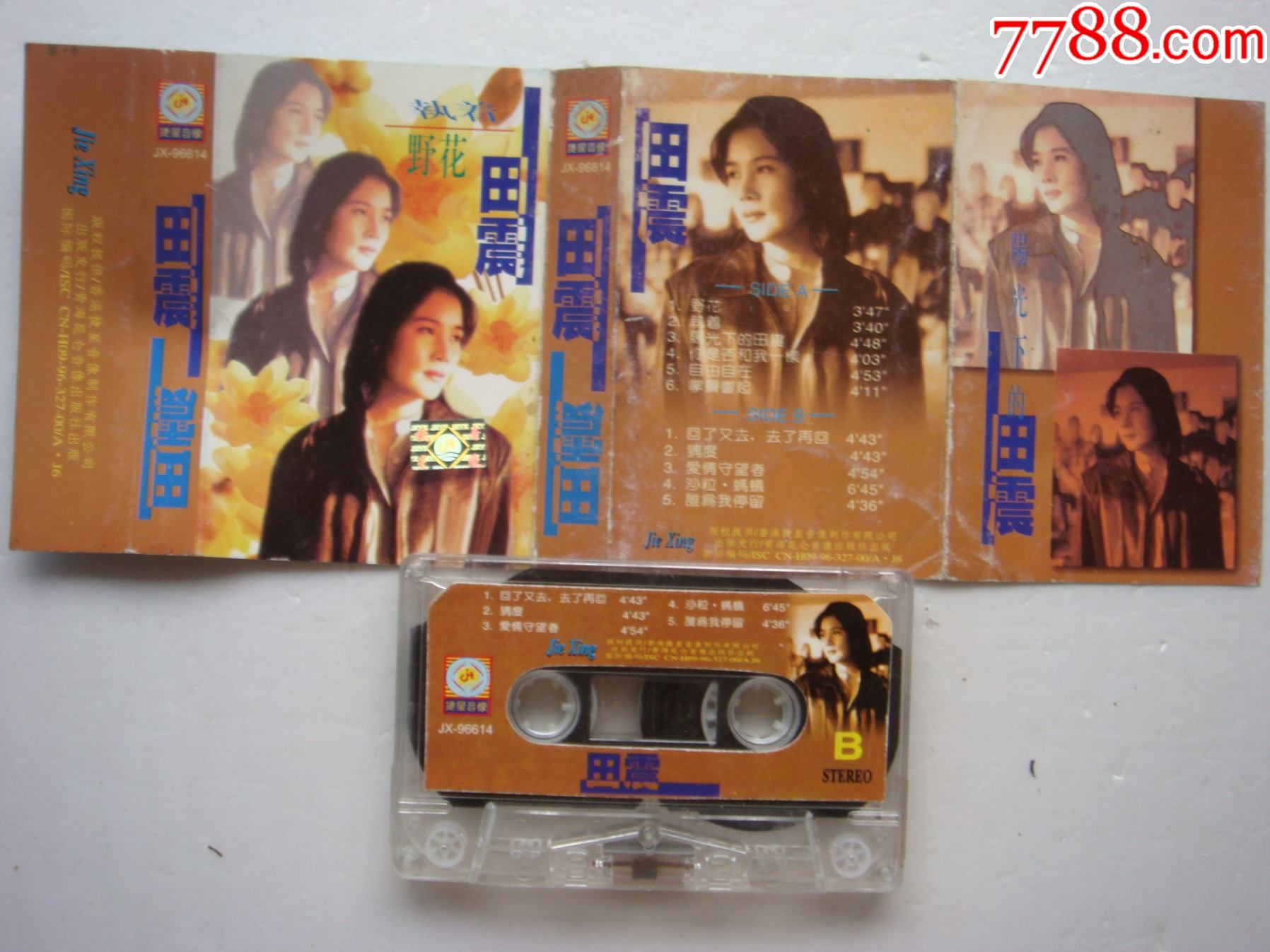 田震野花执着昆仑音像