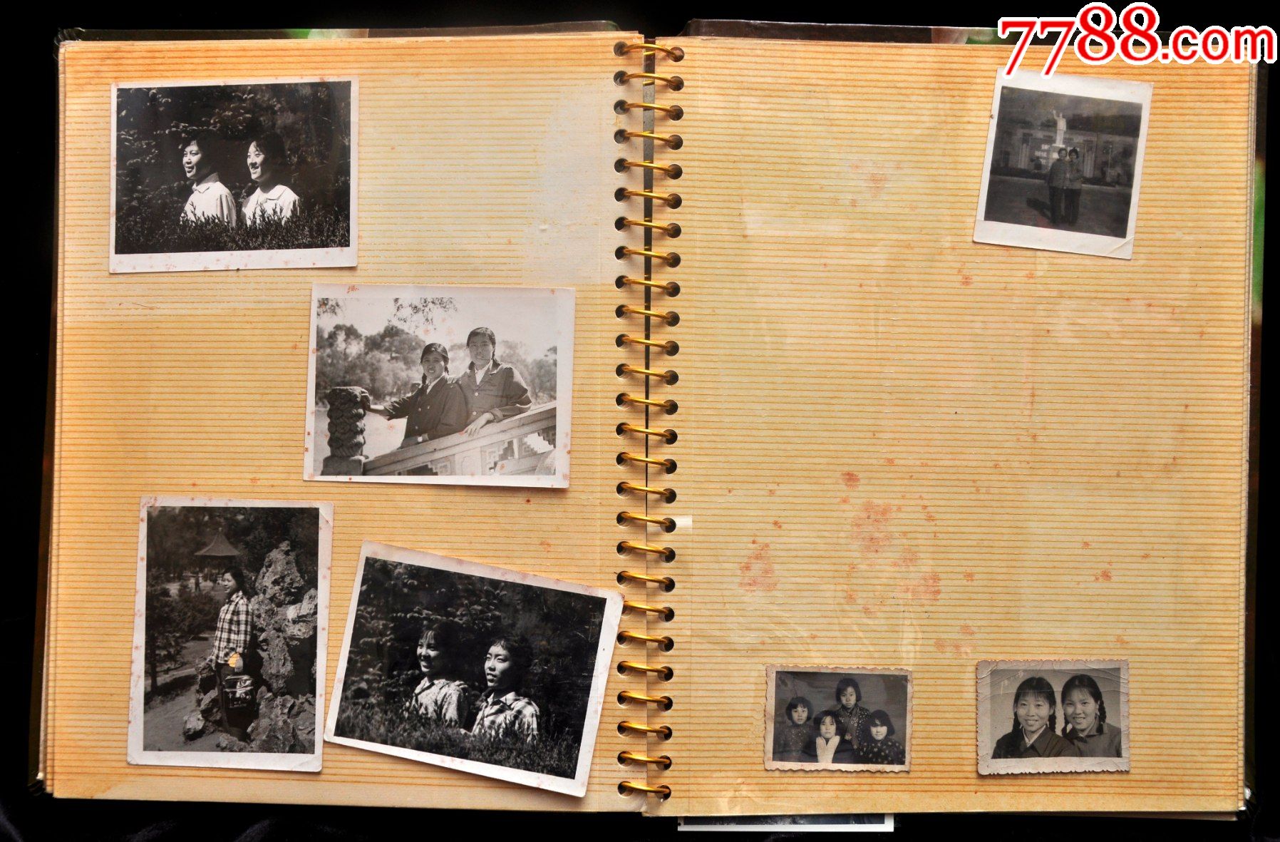 老相册包含里的84张老照片