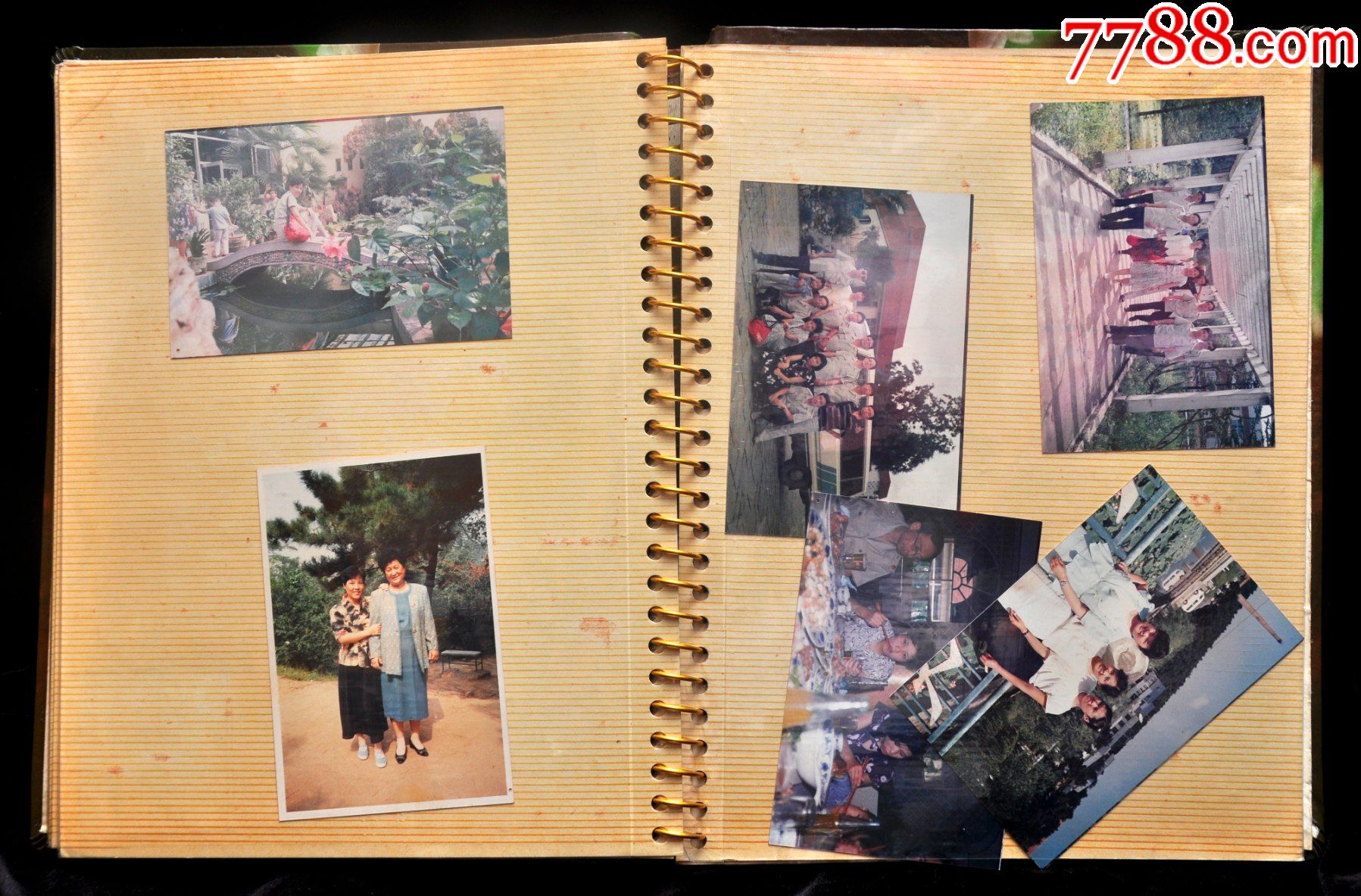 老相册包含里的84张老照片