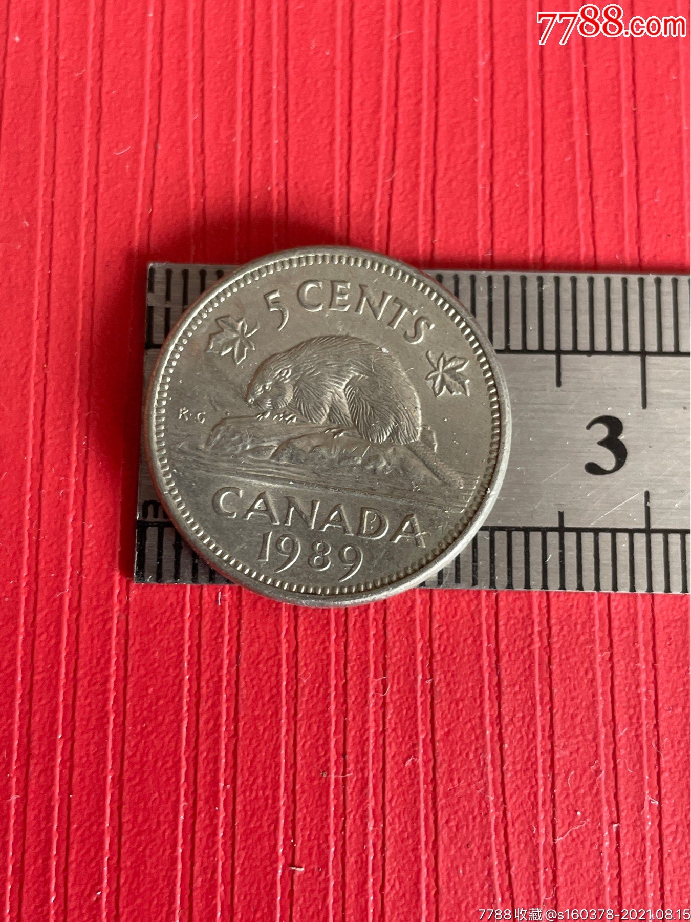 加拿大硬币5分海狸动物21mm外国钱币外币硬币