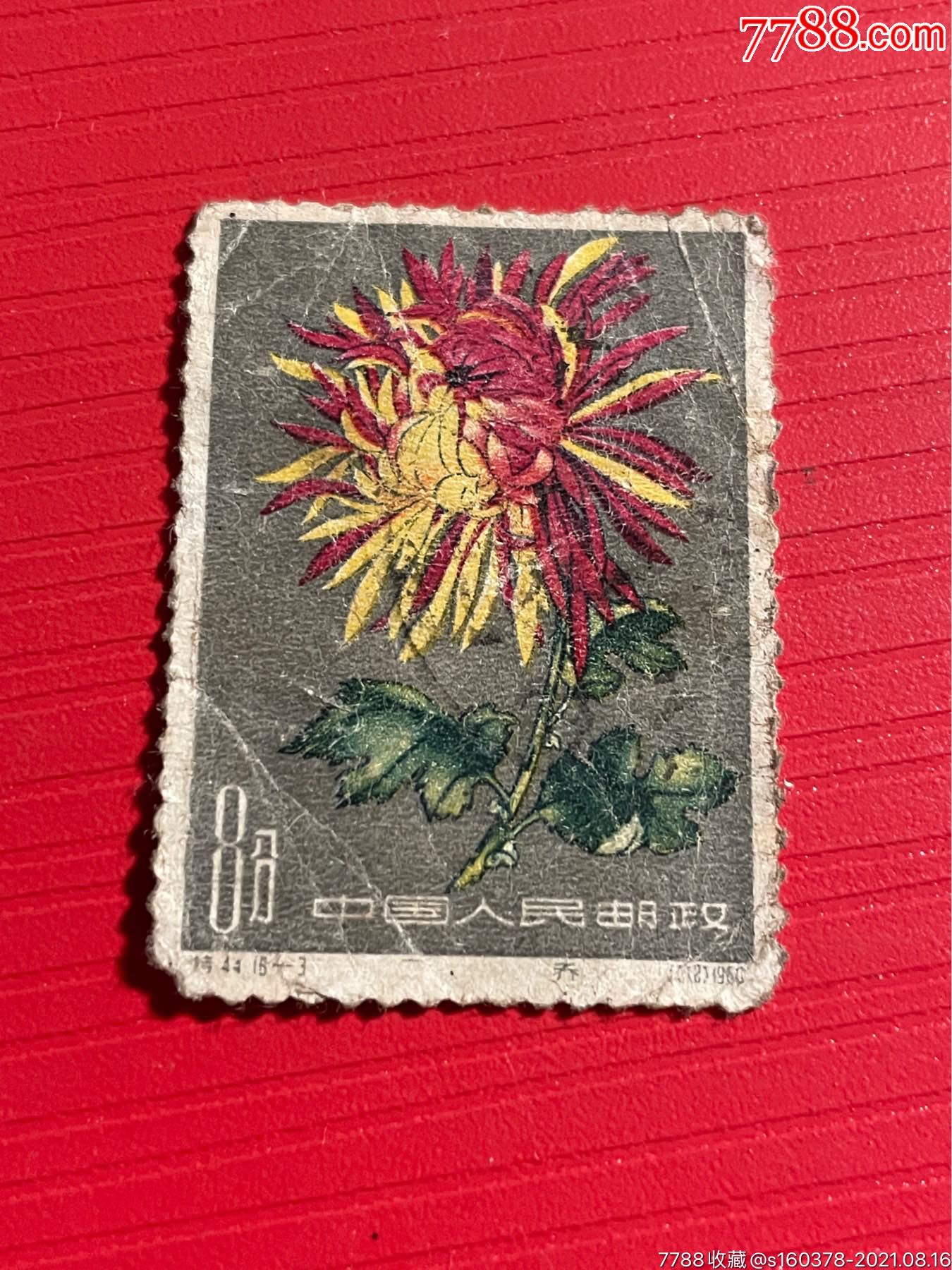 特44菊花邮票