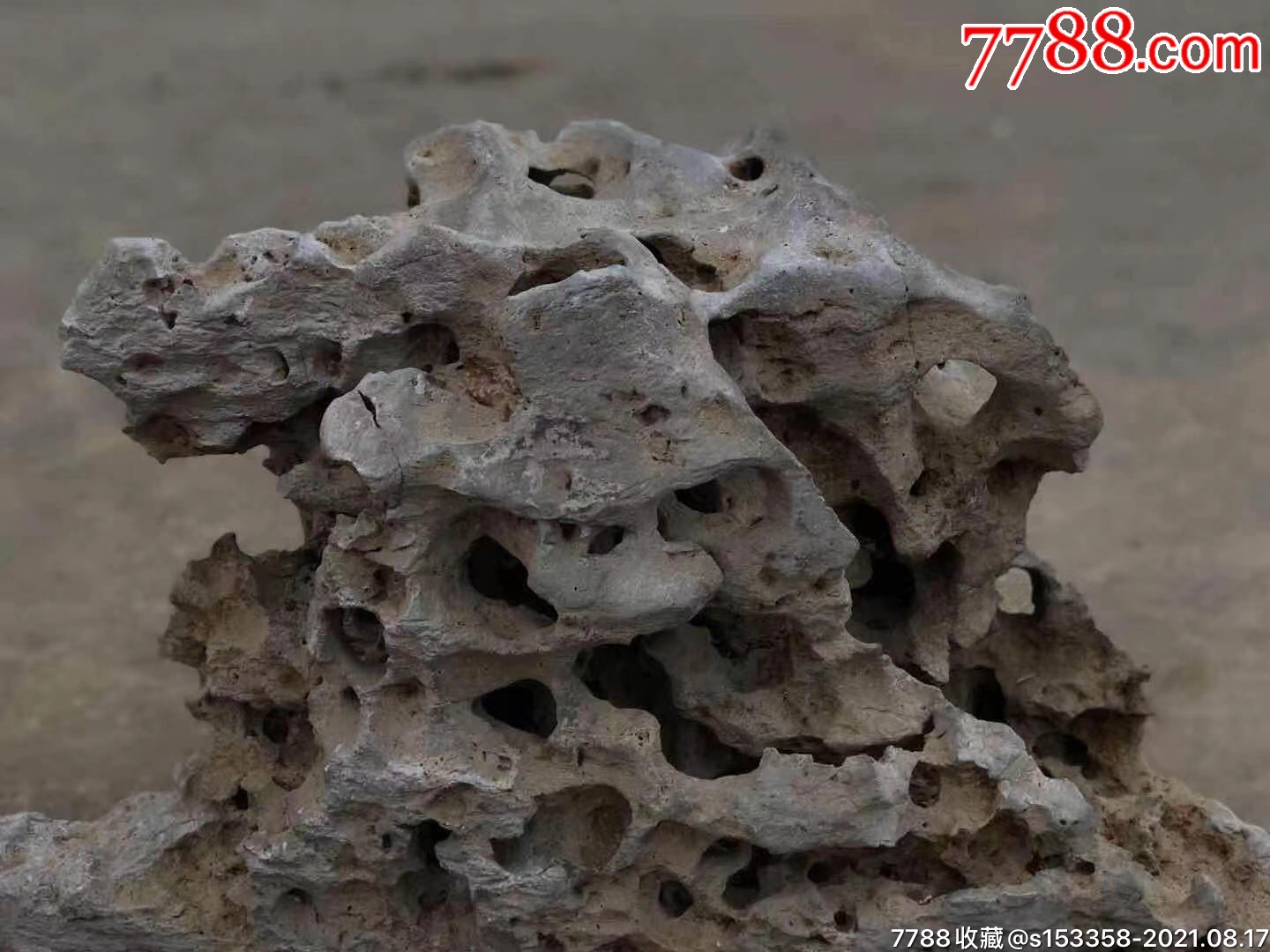 明代太湖石赏石