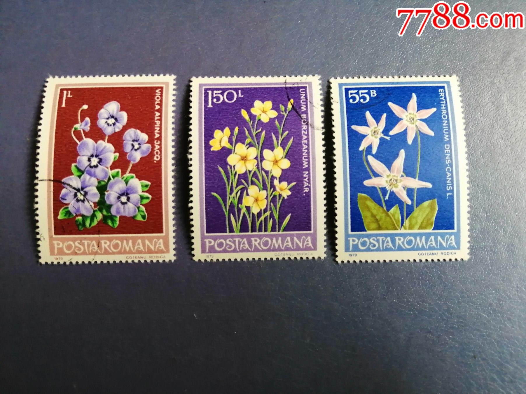 罗马尼亚邮票1979年保护花卉3枚(盖销票)