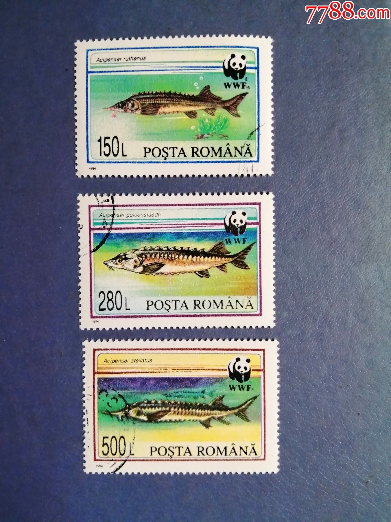 罗马尼亚邮票1994年海洋鱼类熊猫标3枚盖销票