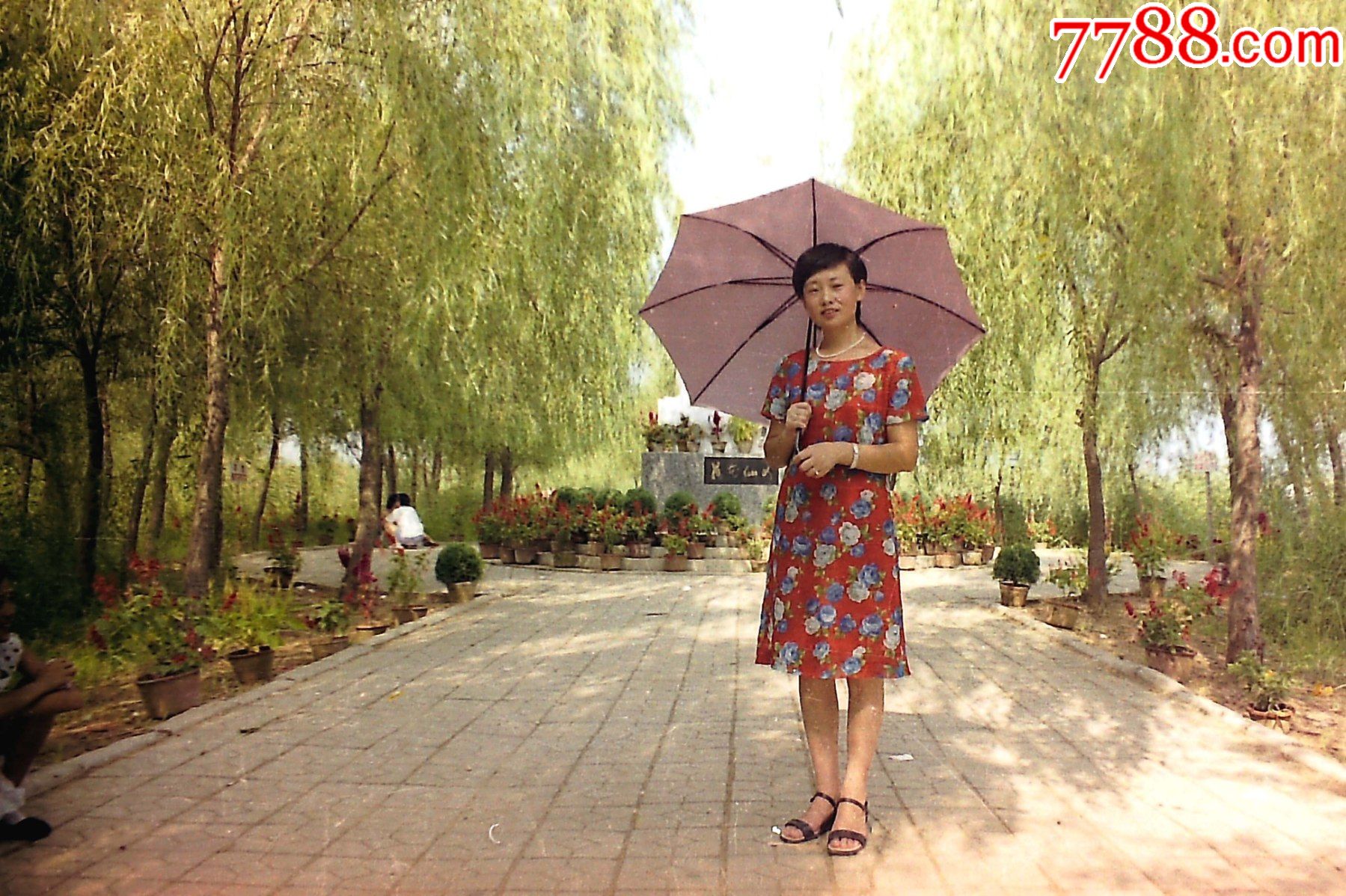 公园里的姑娘仅上传反转后的照片部分135老底片