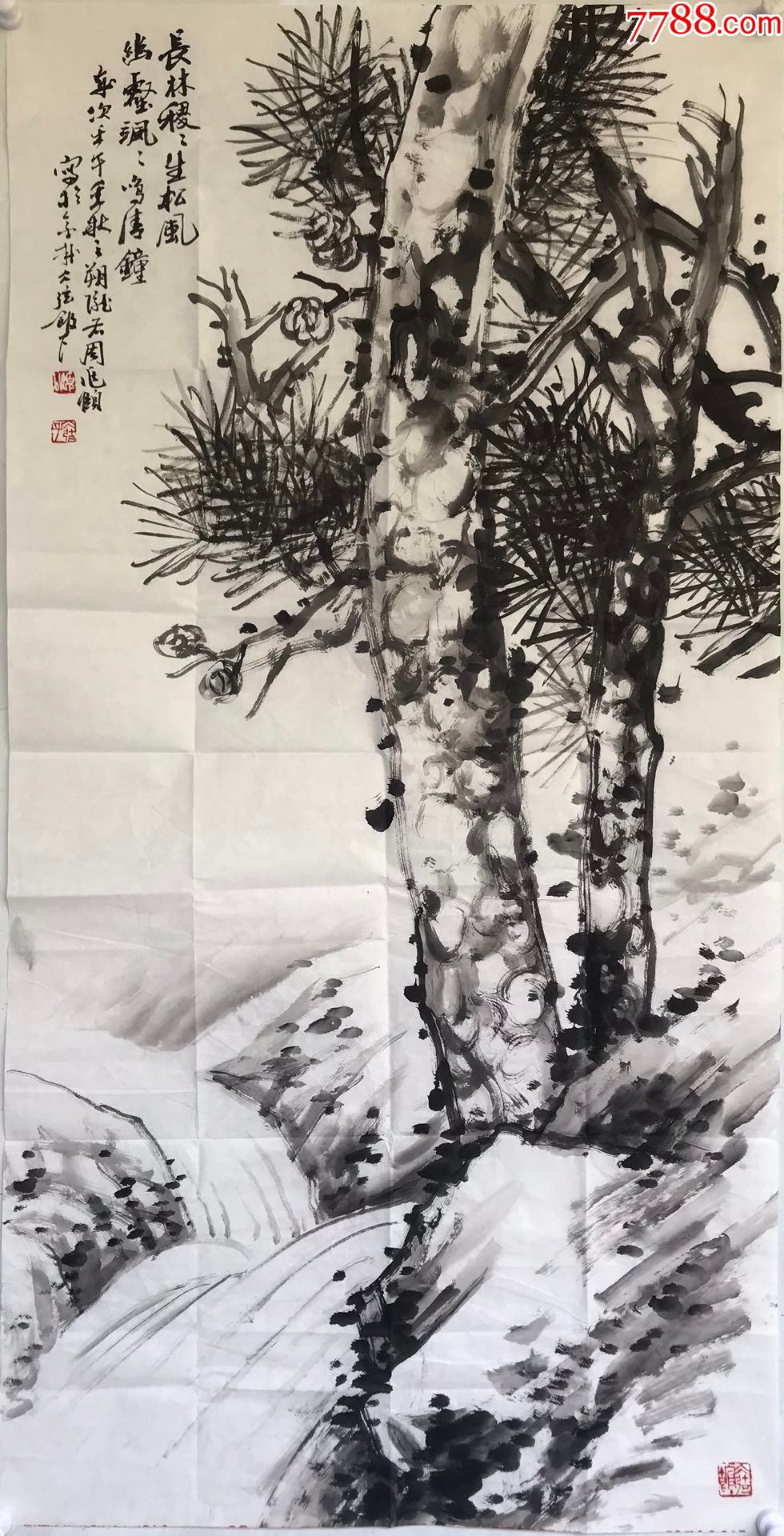 周兆颐松软页a88s20f