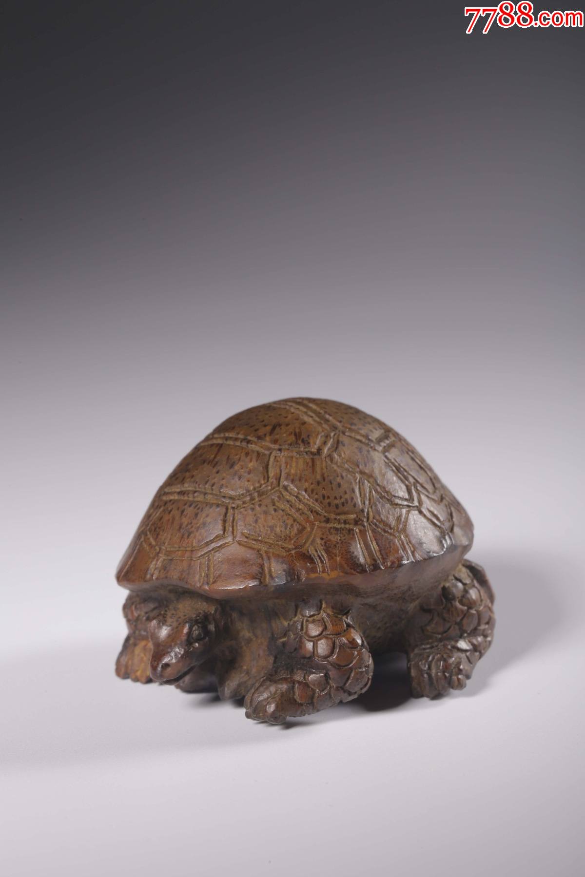 清竹雕寿龟把件