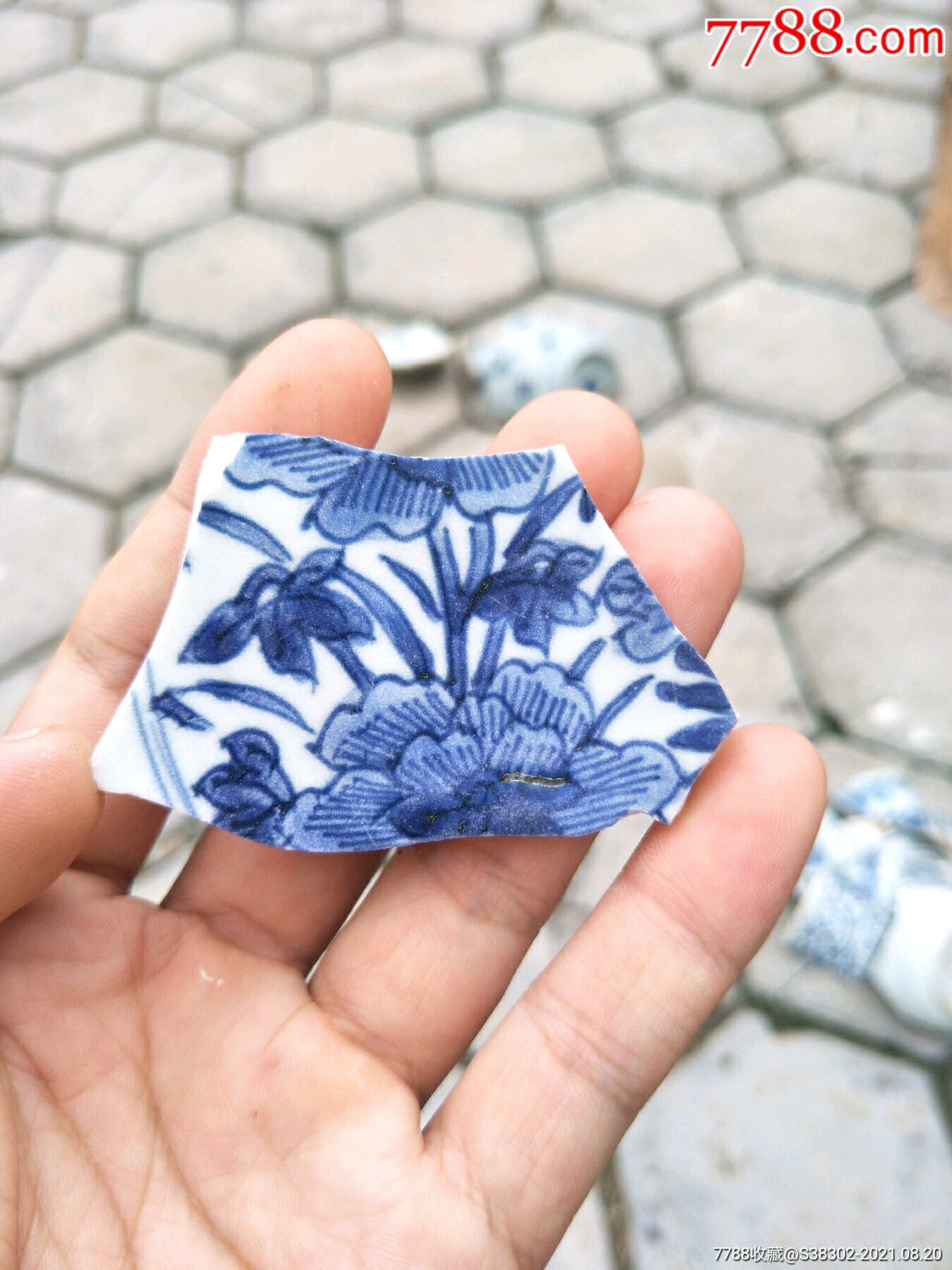 清代康熙青花赛官窑瓷片残片临清运河古玩店万枚瓷片标本馆