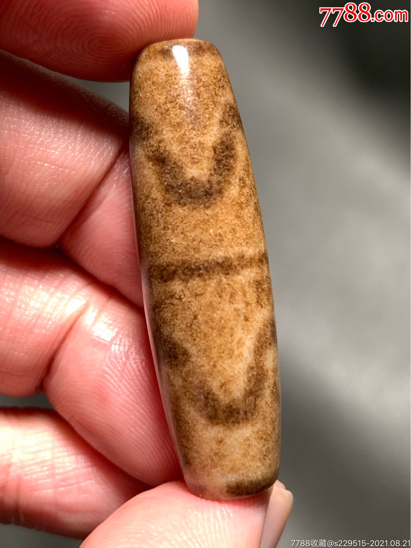 藏传满黑白朱砂鱼籽纹双虎牙天珠43.8*12.8毫米