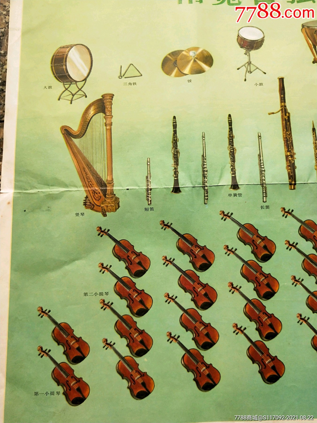管弦乐队的乐器排列图图片
