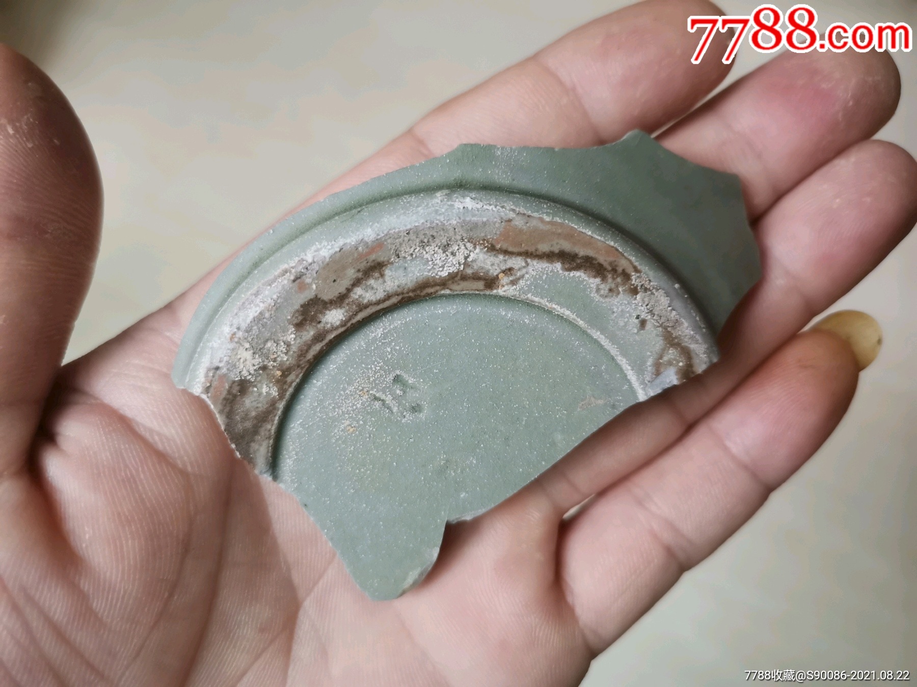 唐法门寺越窑秘色青瓷瓷片标本