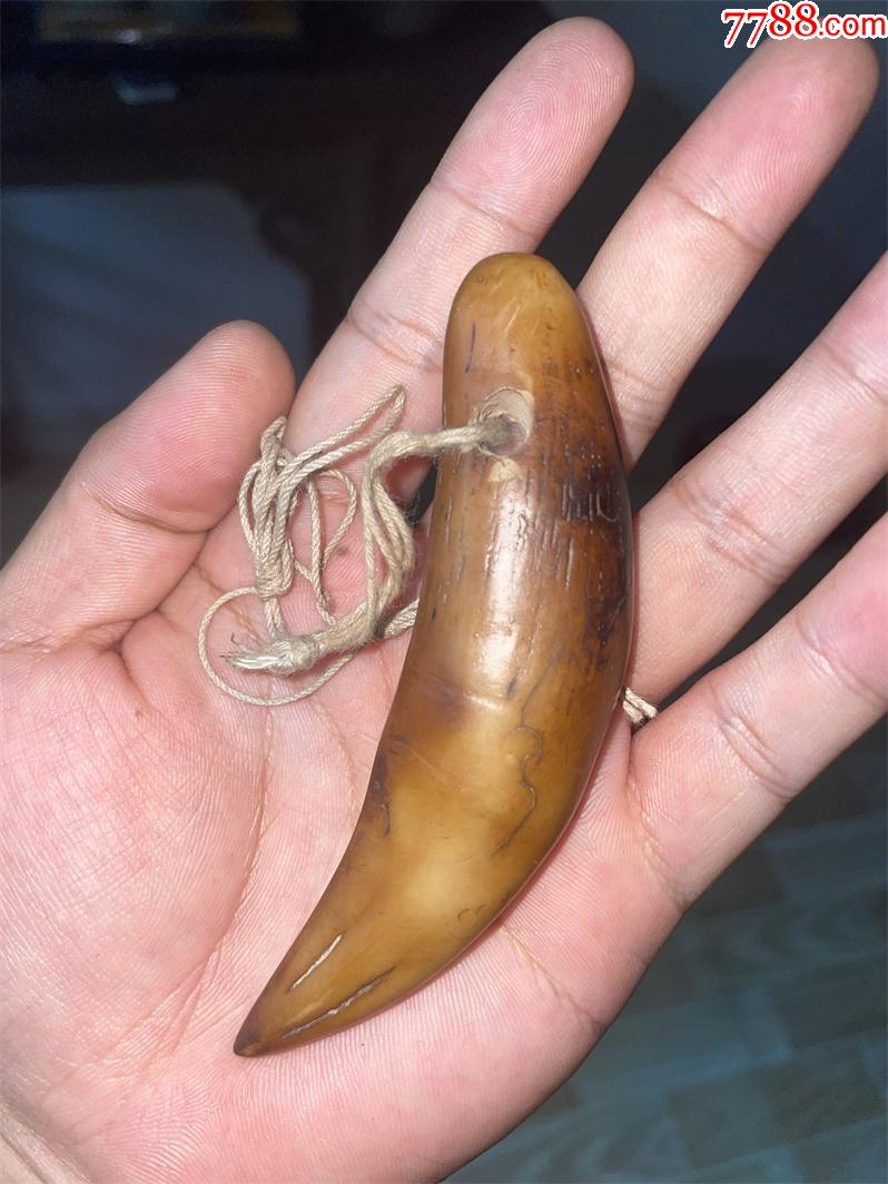 民俗收藏老物件野兽猛兽牙齿下乡老物件挂件装饰品