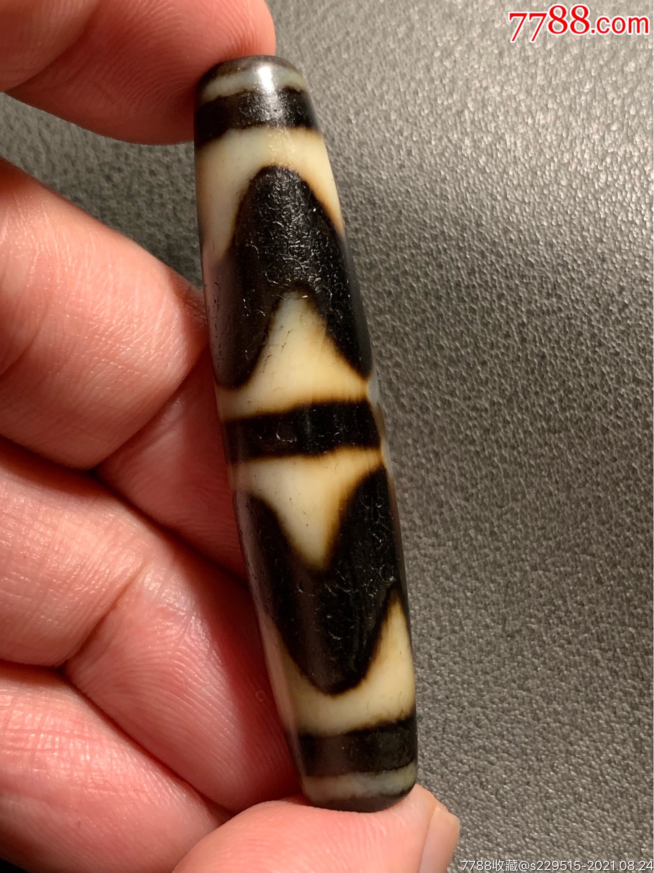 藏传双虎牙大天珠558122毫米