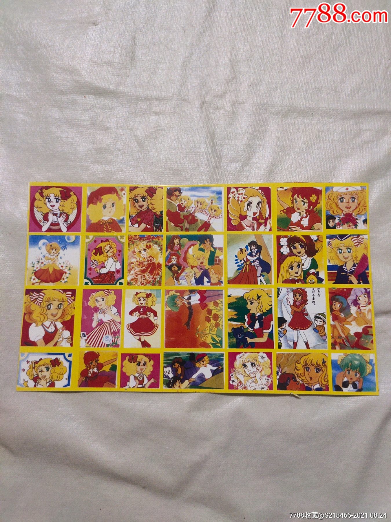 黄边贴纸花仙子5