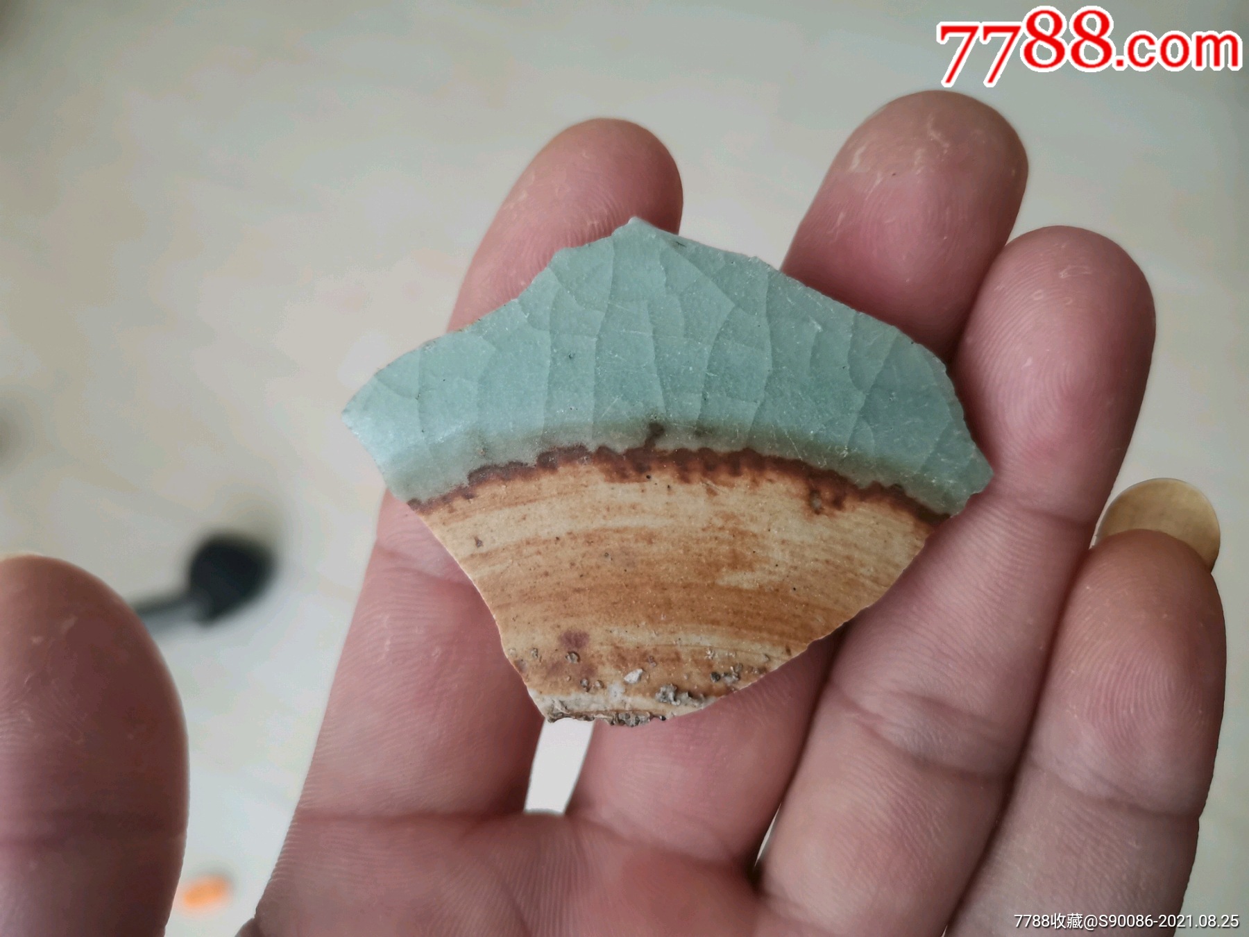 康熙名品郎窑绿_瓷片_第1张_7788瓷器