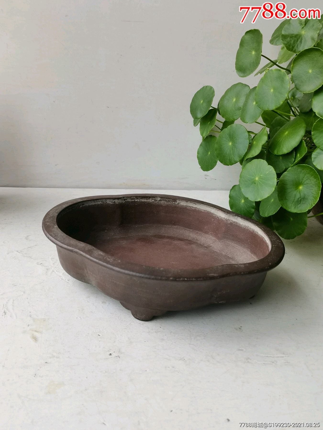 老紫砂花盆清代紫砂水仙盆老紫砂盆