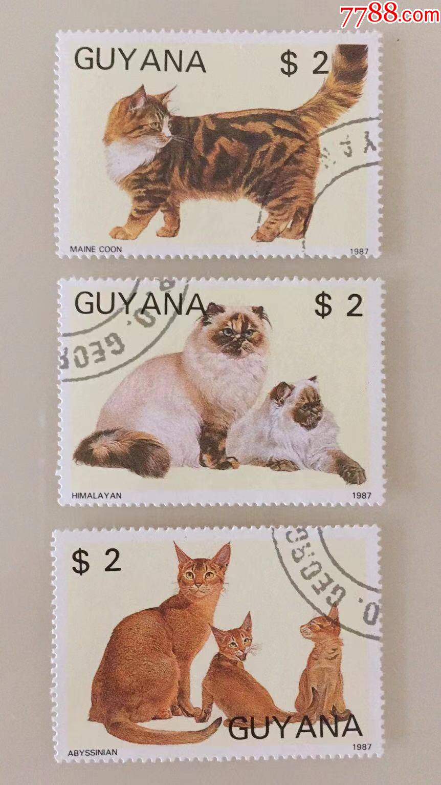 外国邮票圭亚那邮票名贵宠物猫3枚1987年盖销票10品
