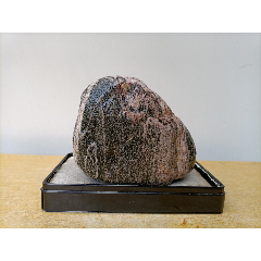 洛阳奇石新品金钱石原石2号金山石型重达40斤