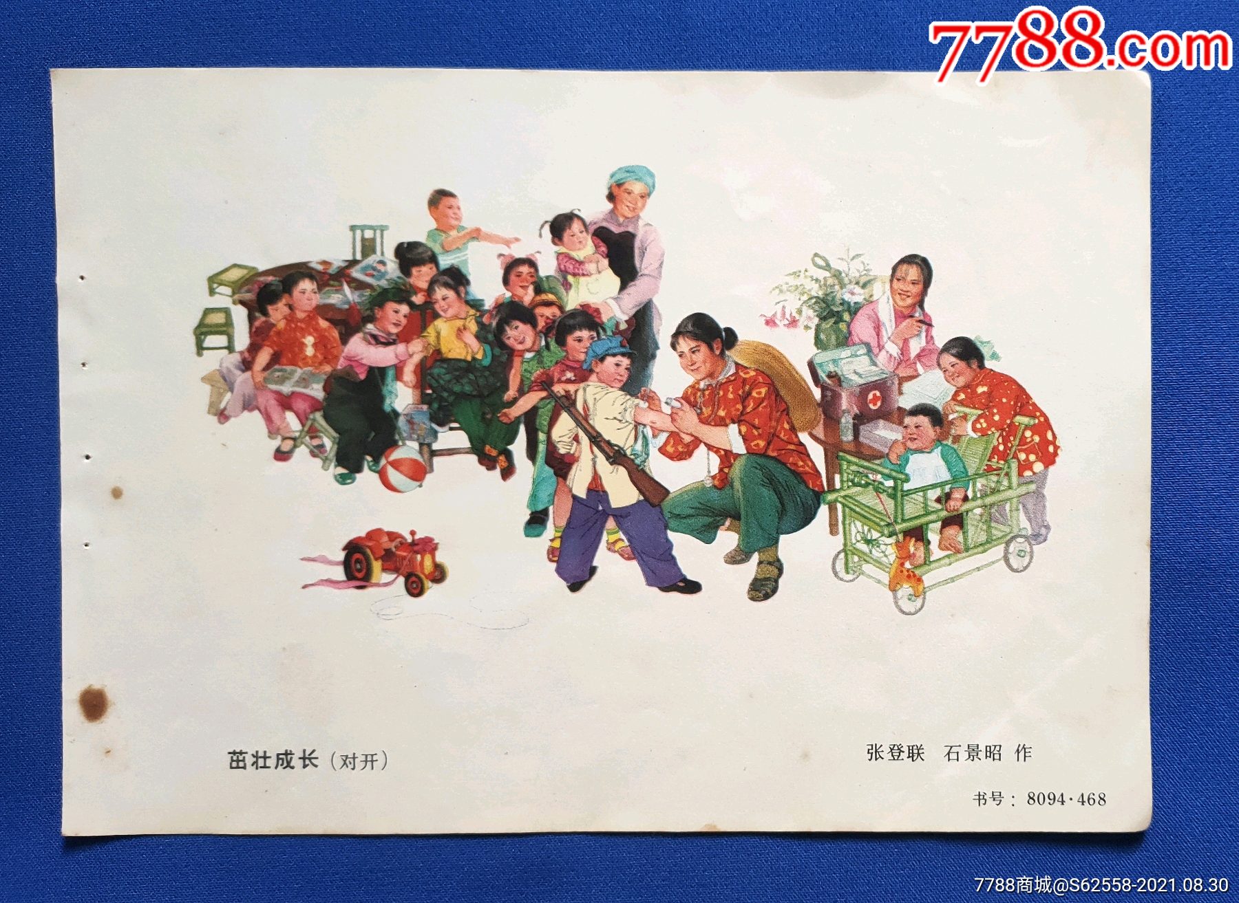 茁壮成长一张登连作1张