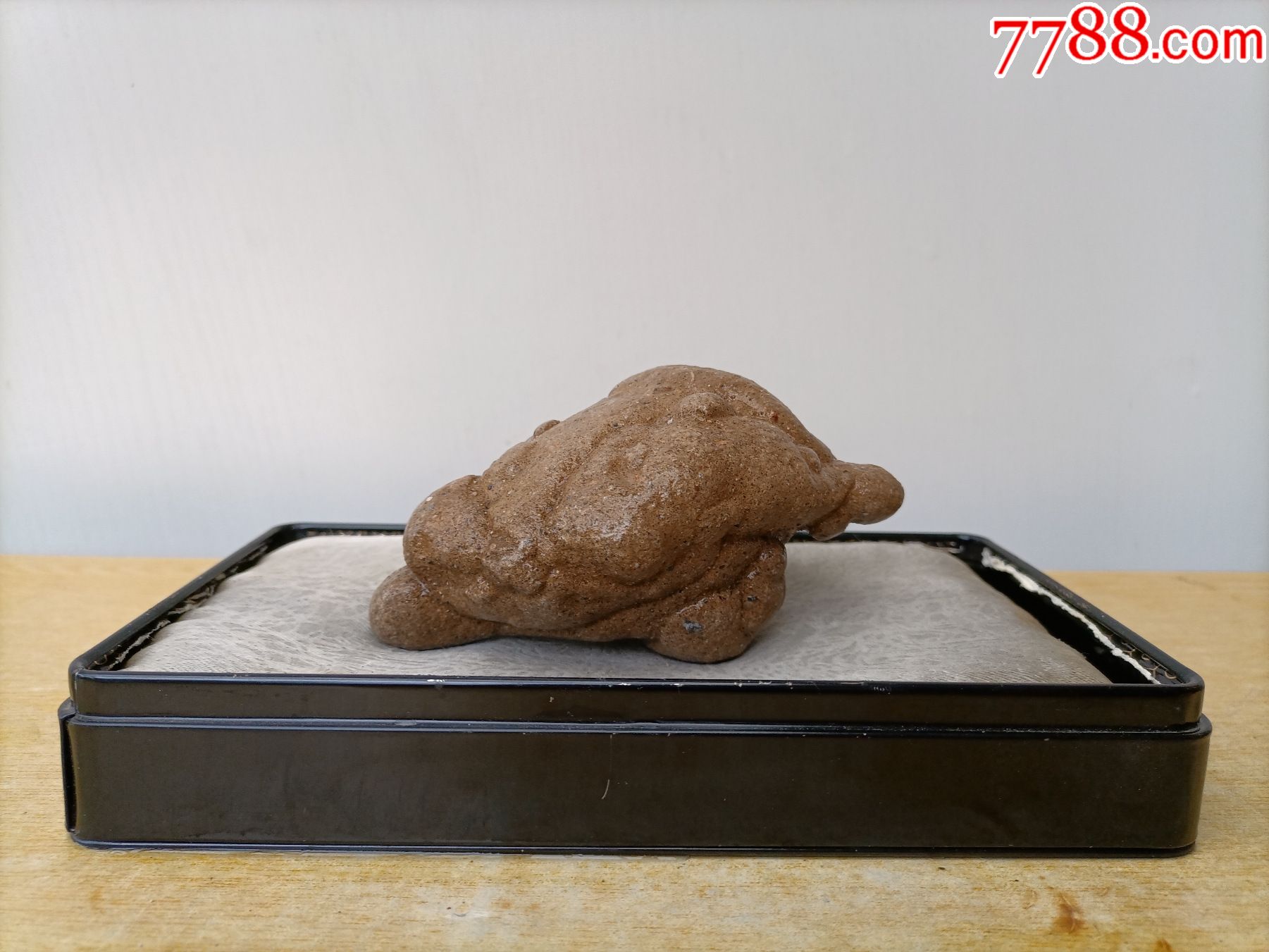 新进太行原石2860神龟探海惟妙惟肖石型完整干湿均美