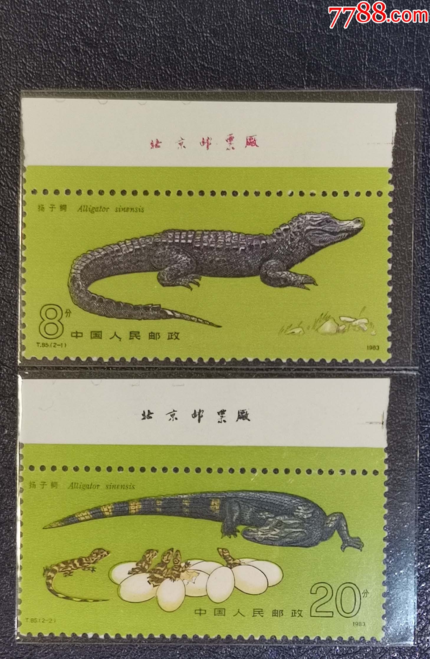 滚动鼠标滚轴,图片即可轻松放大,缩小更多"新中国邮票