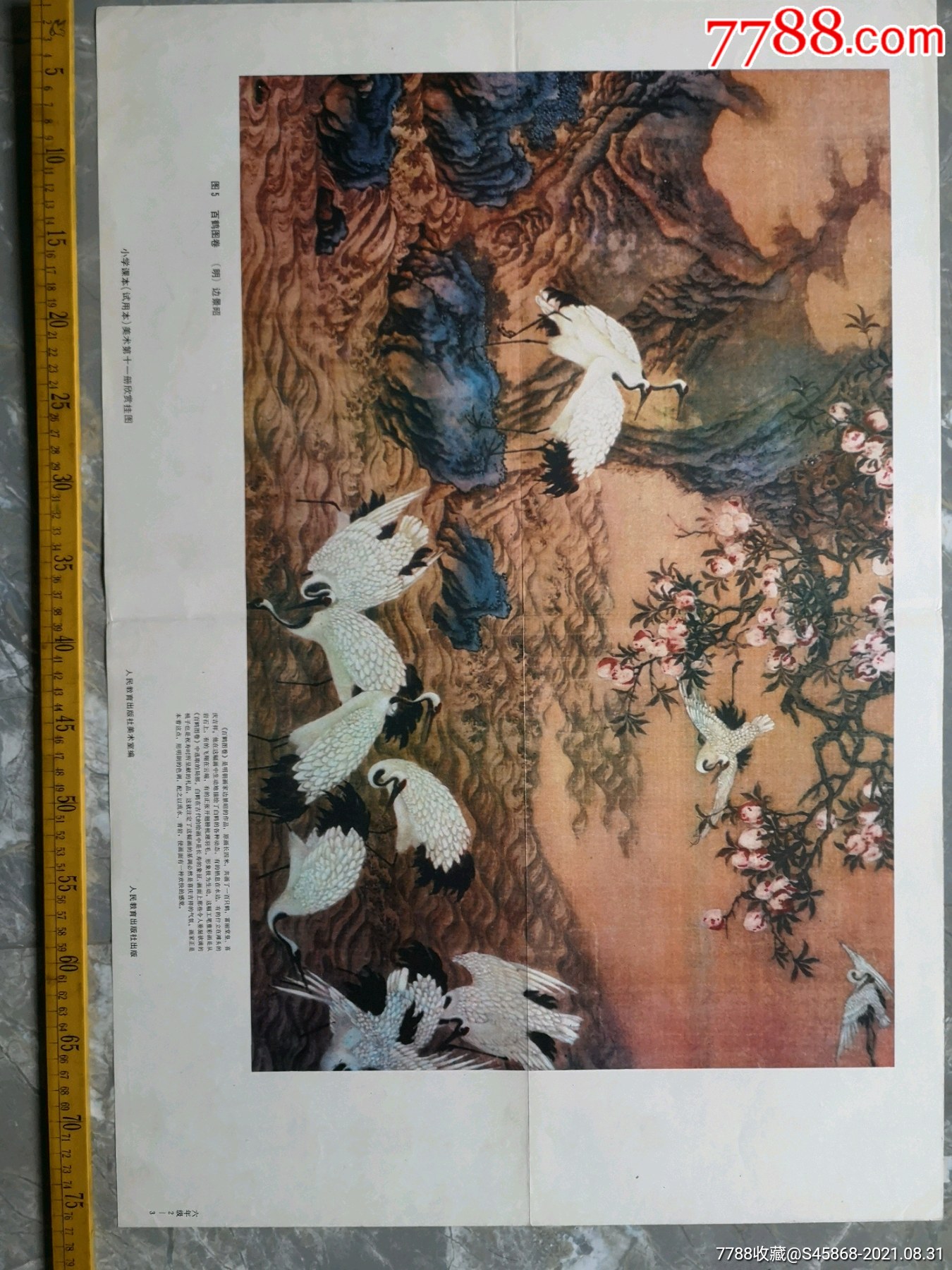 老旧印名画百鹤图卷明边景昭作