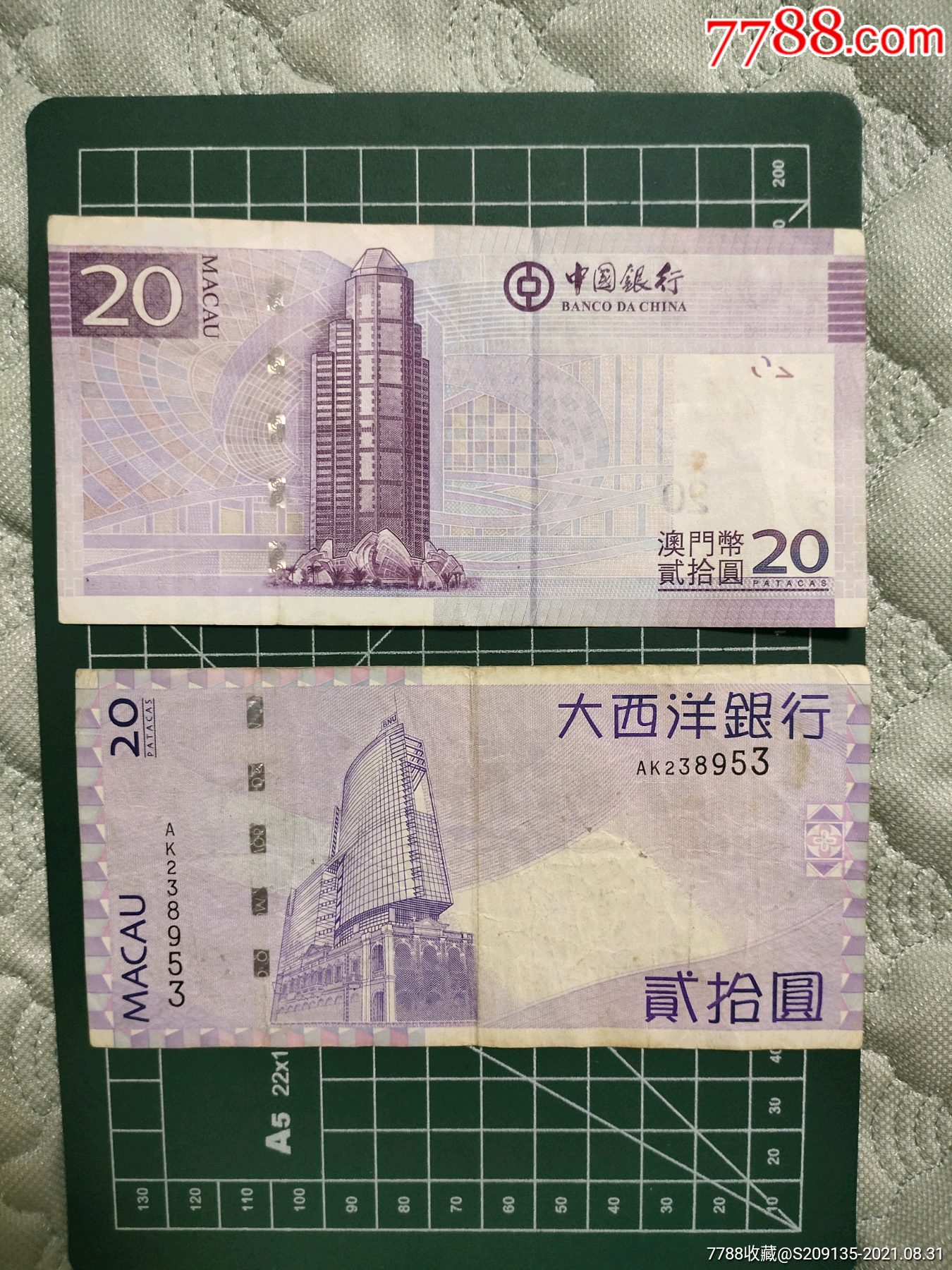 澳门20元纸币图片图片